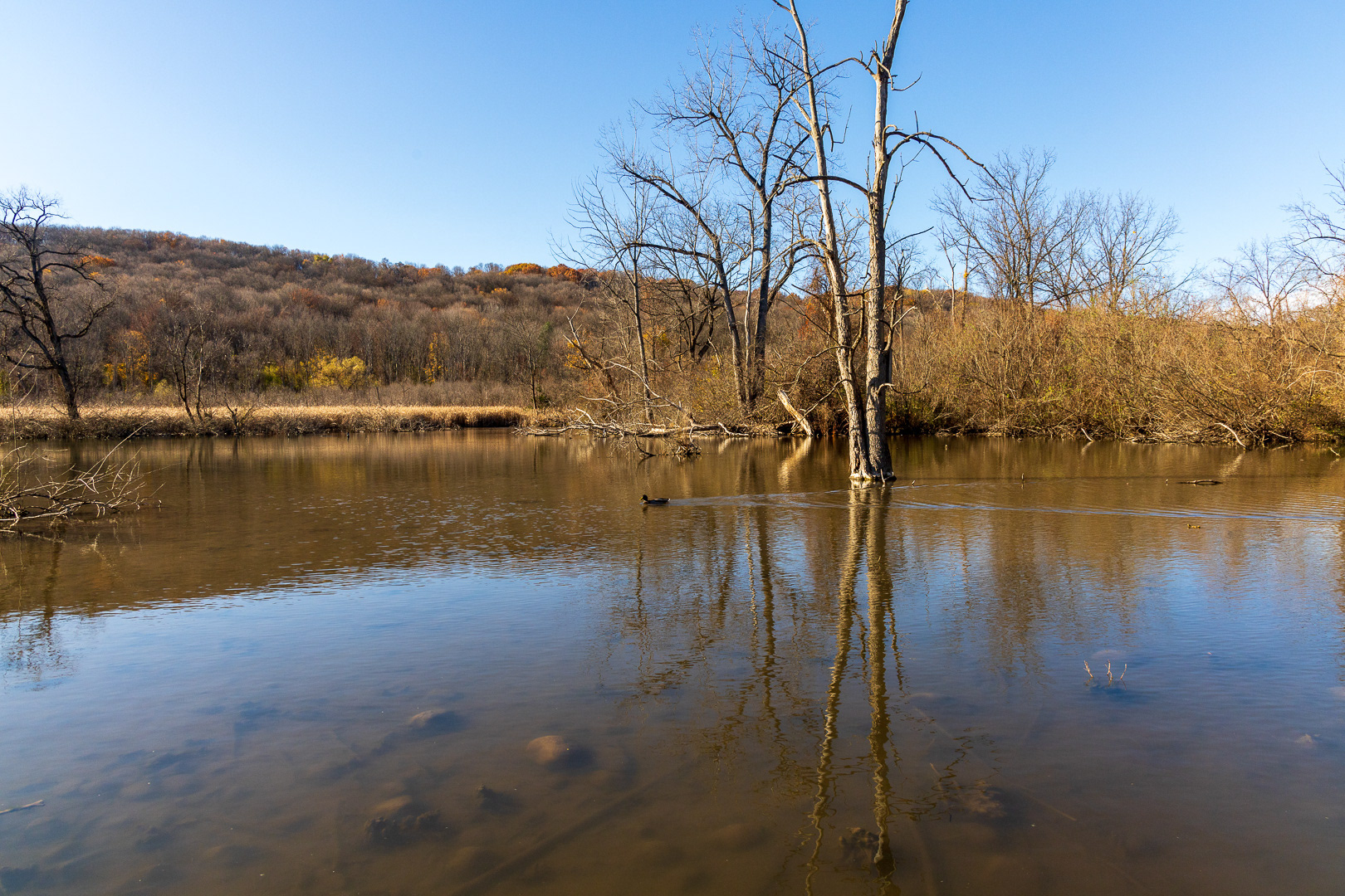 Nature Series - 2024