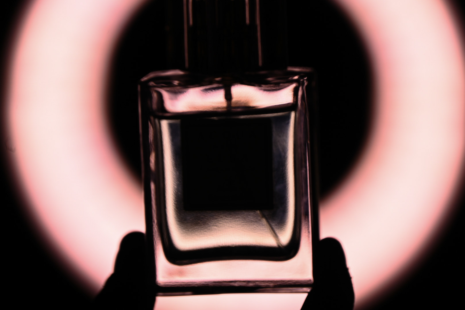 Studio Light Series - 2024