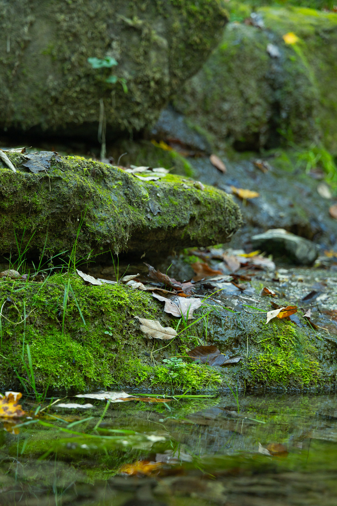 Color and Light Series - 2024