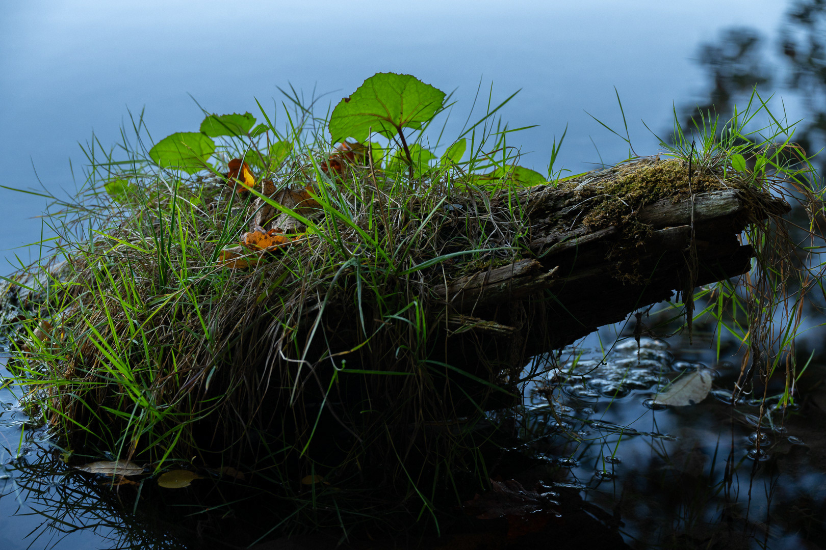 Green Lakes State Park - 2025