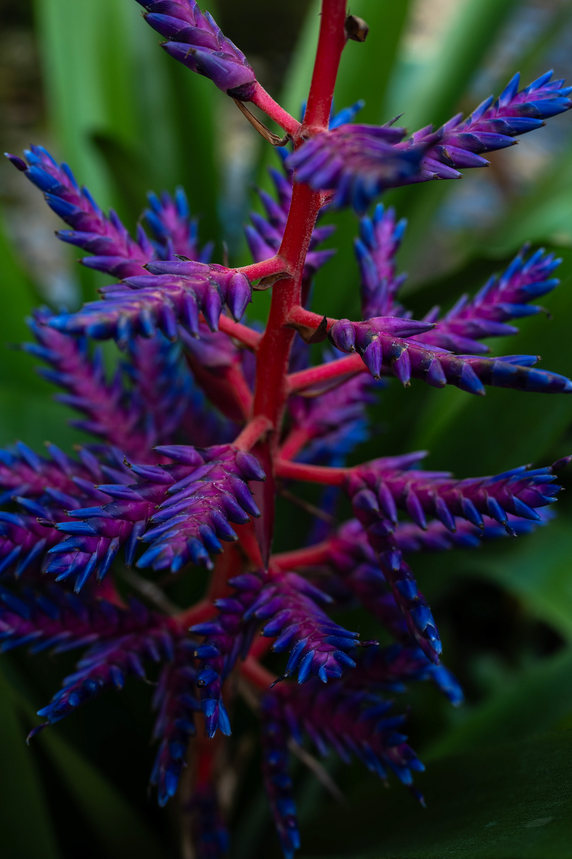 Lincoln Park Conservatory - 2026