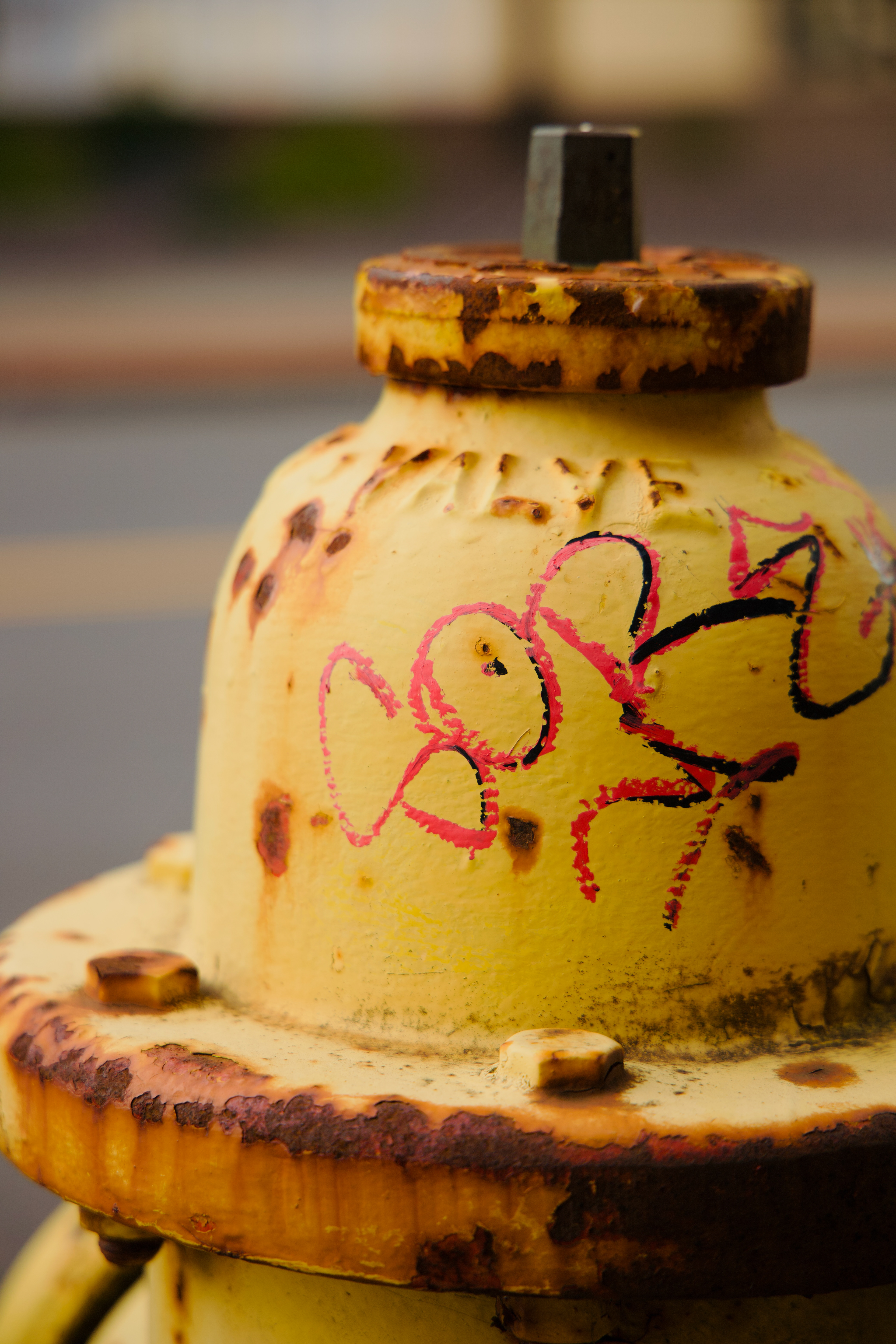 Culture Series - 2024