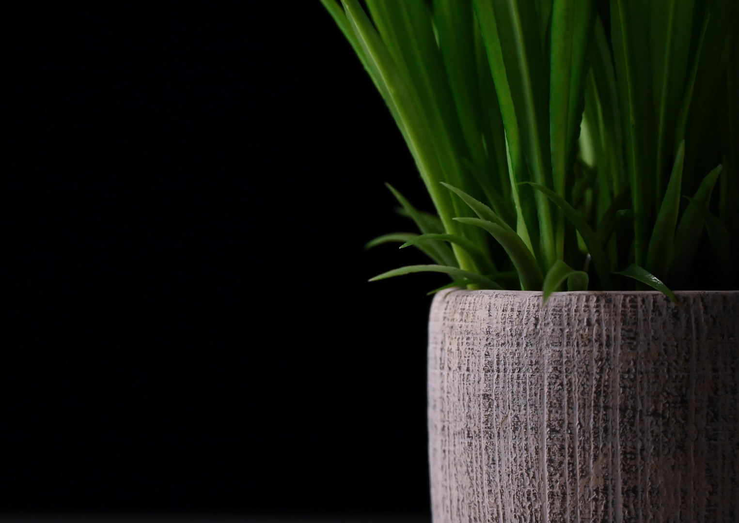 Perspective Series - 2024