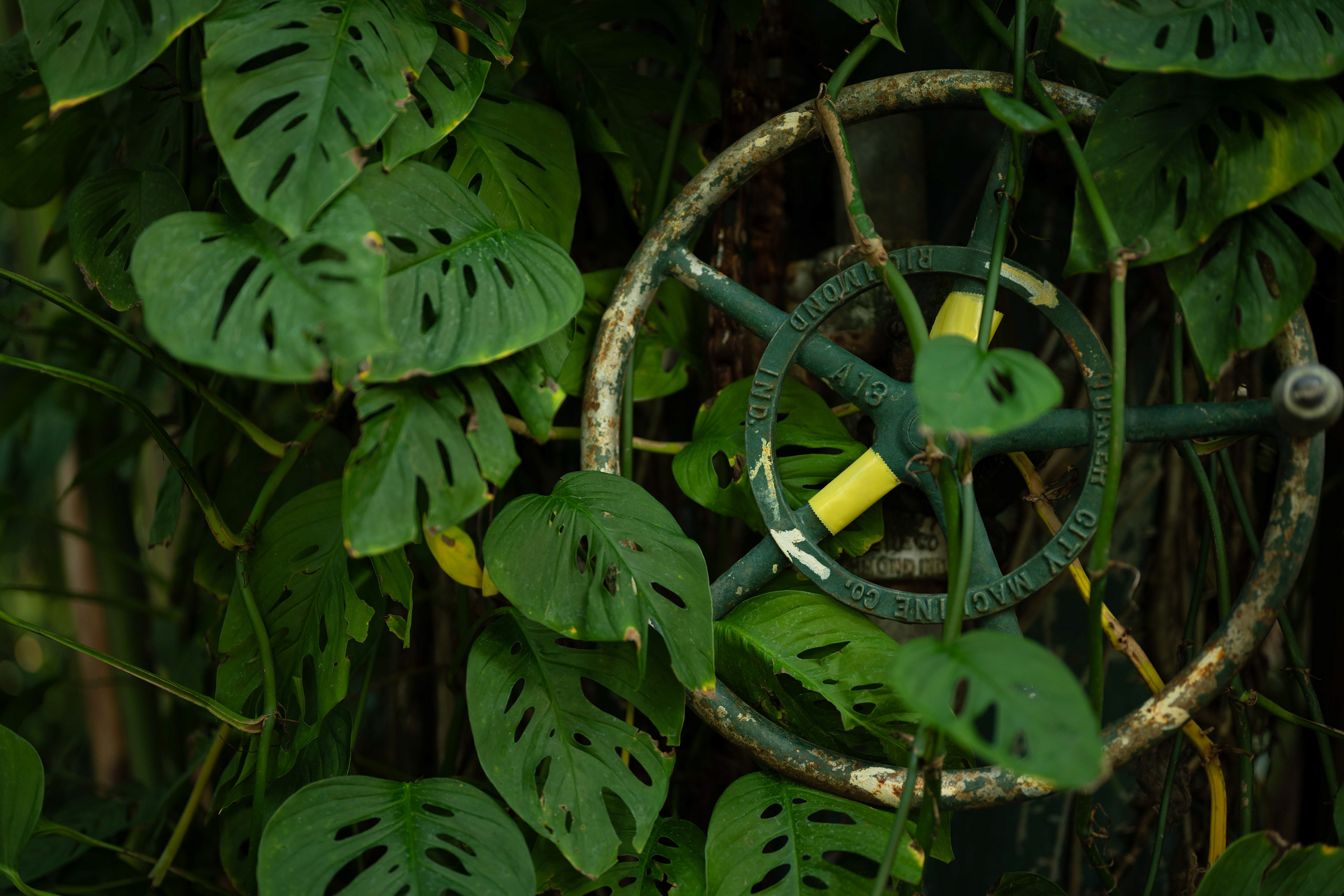 Lincoln Park Conservatory - 2026