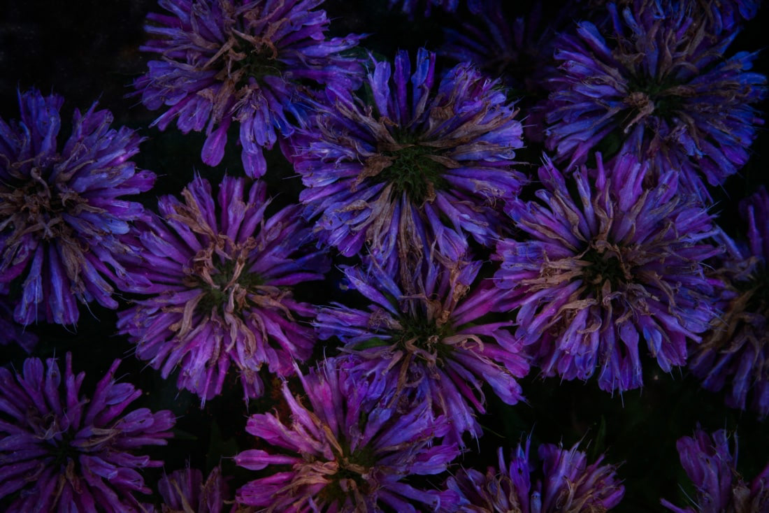 Adobe Photoshop - 2023