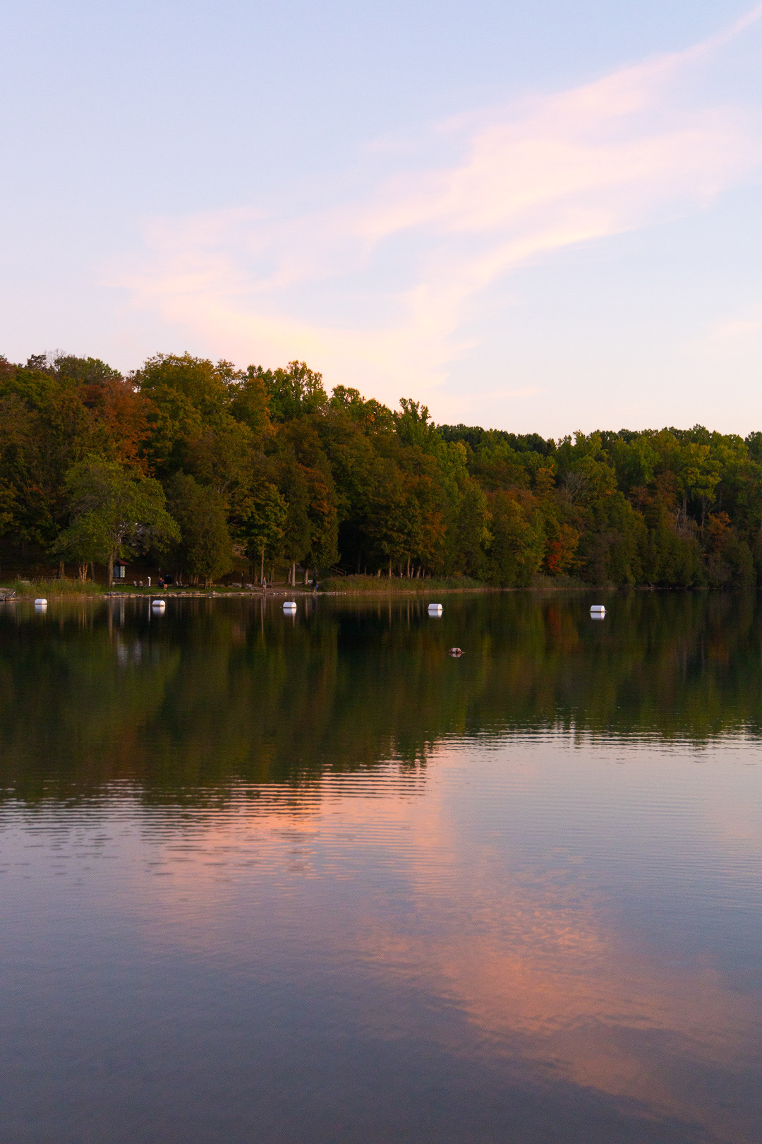 Color and Light Series - 2024