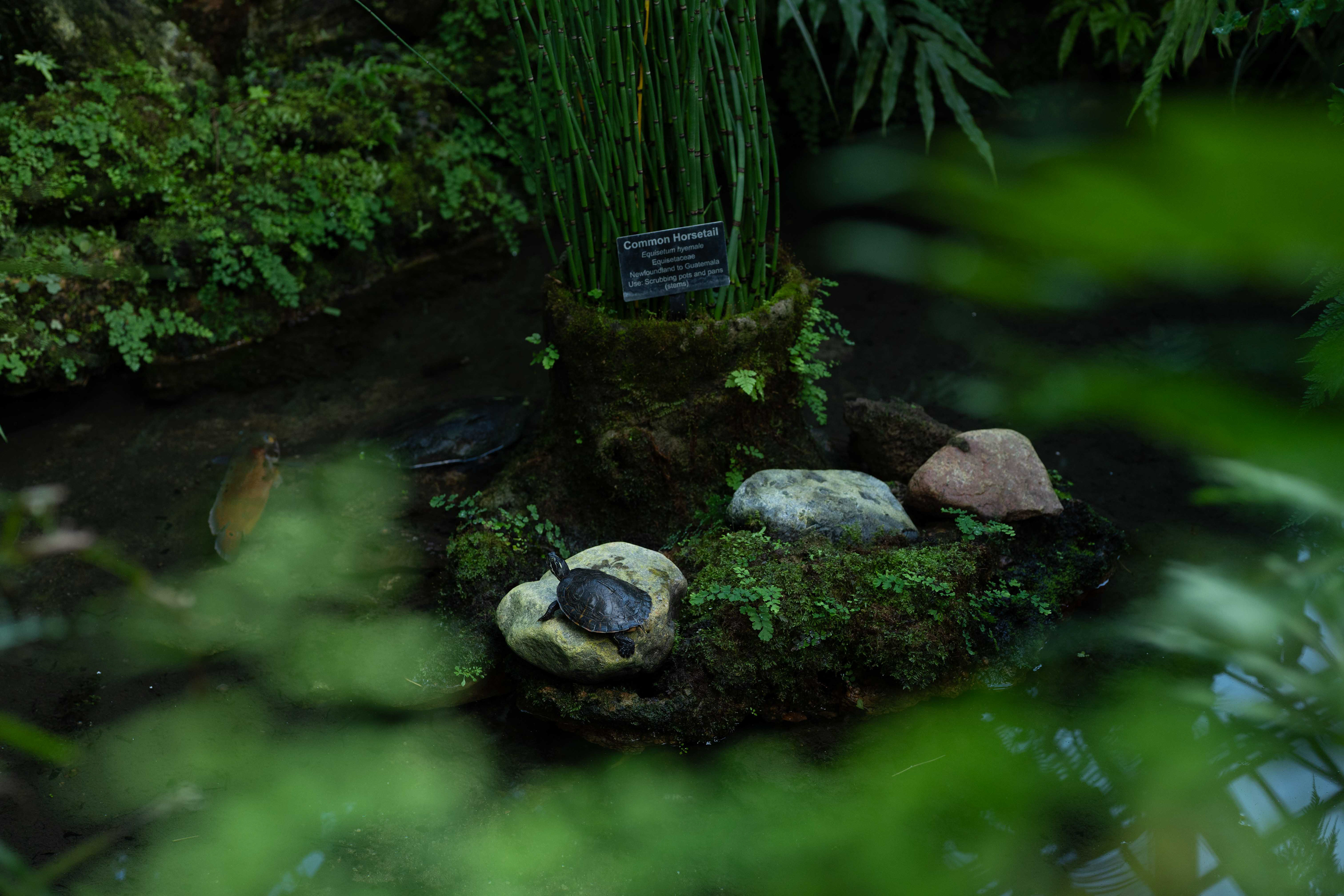 Lincoln Park Conservatory - 2026