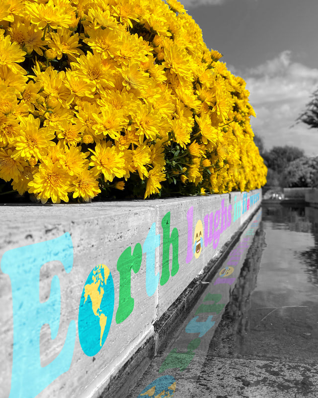 Adobe Photoshop - 2022