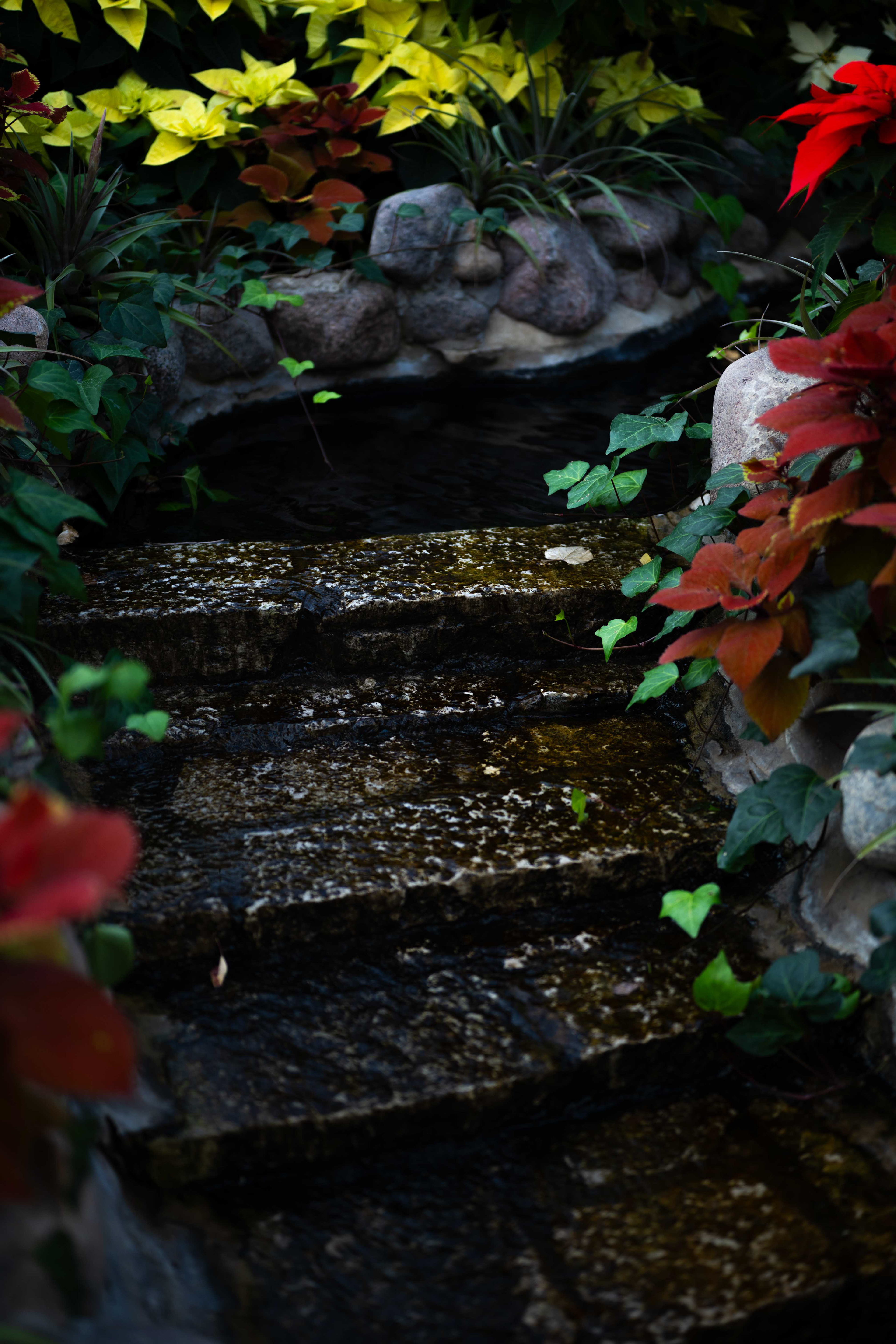 Lincoln Park Conservatory - 2026