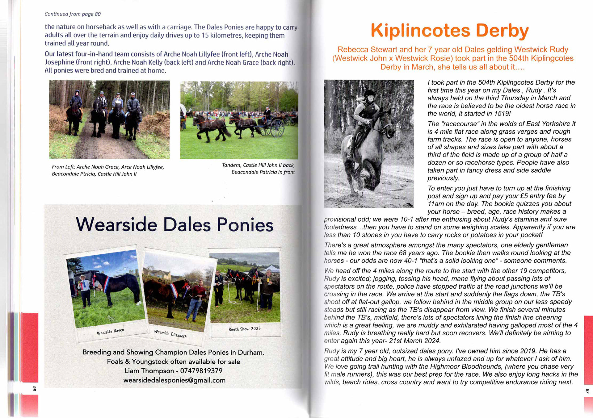 Dales Pony Society magazine article about the German Dales Ponies winning Page 2