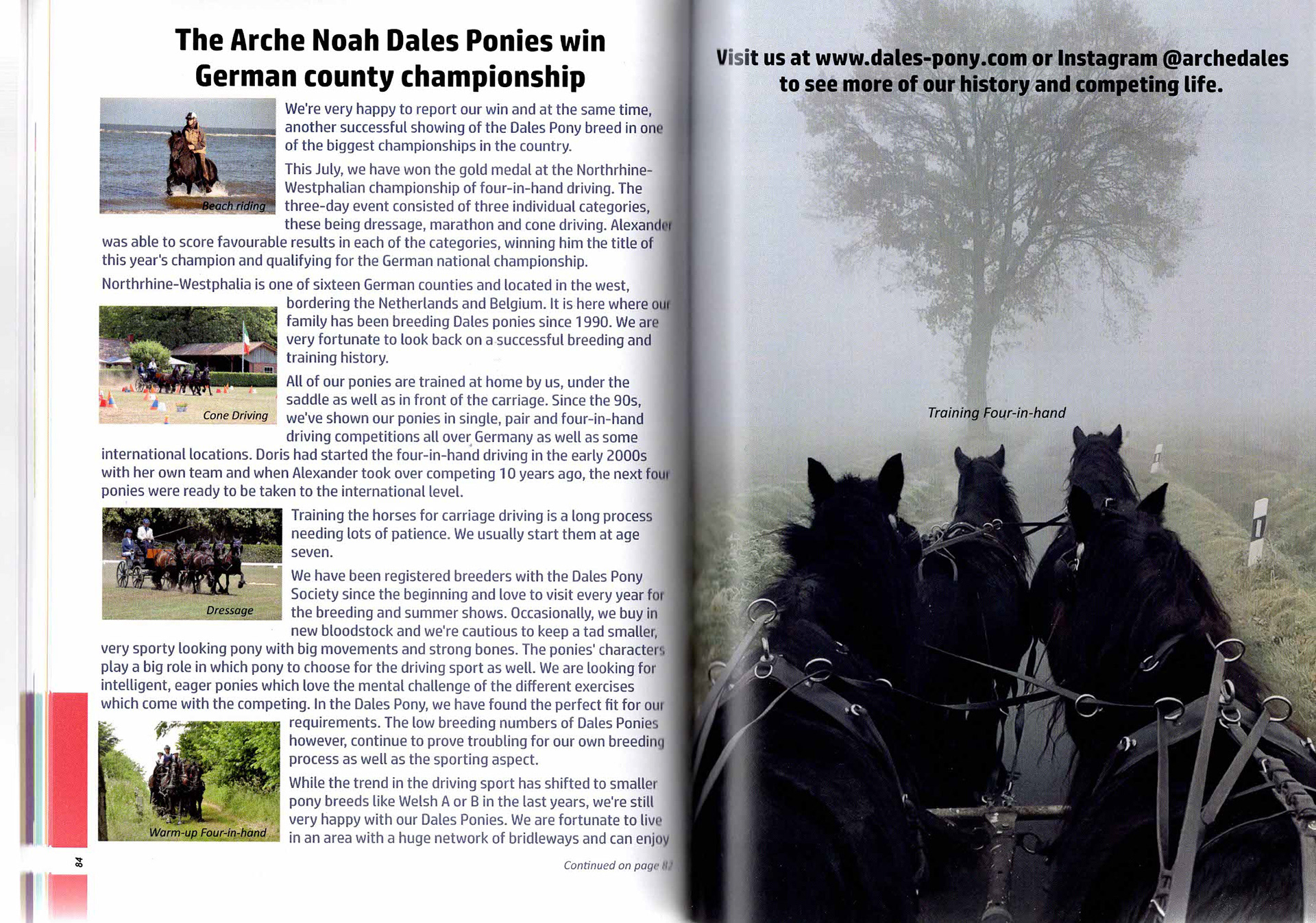 Dales Pony Society magazine article about the German Dales Ponies winning Page 1