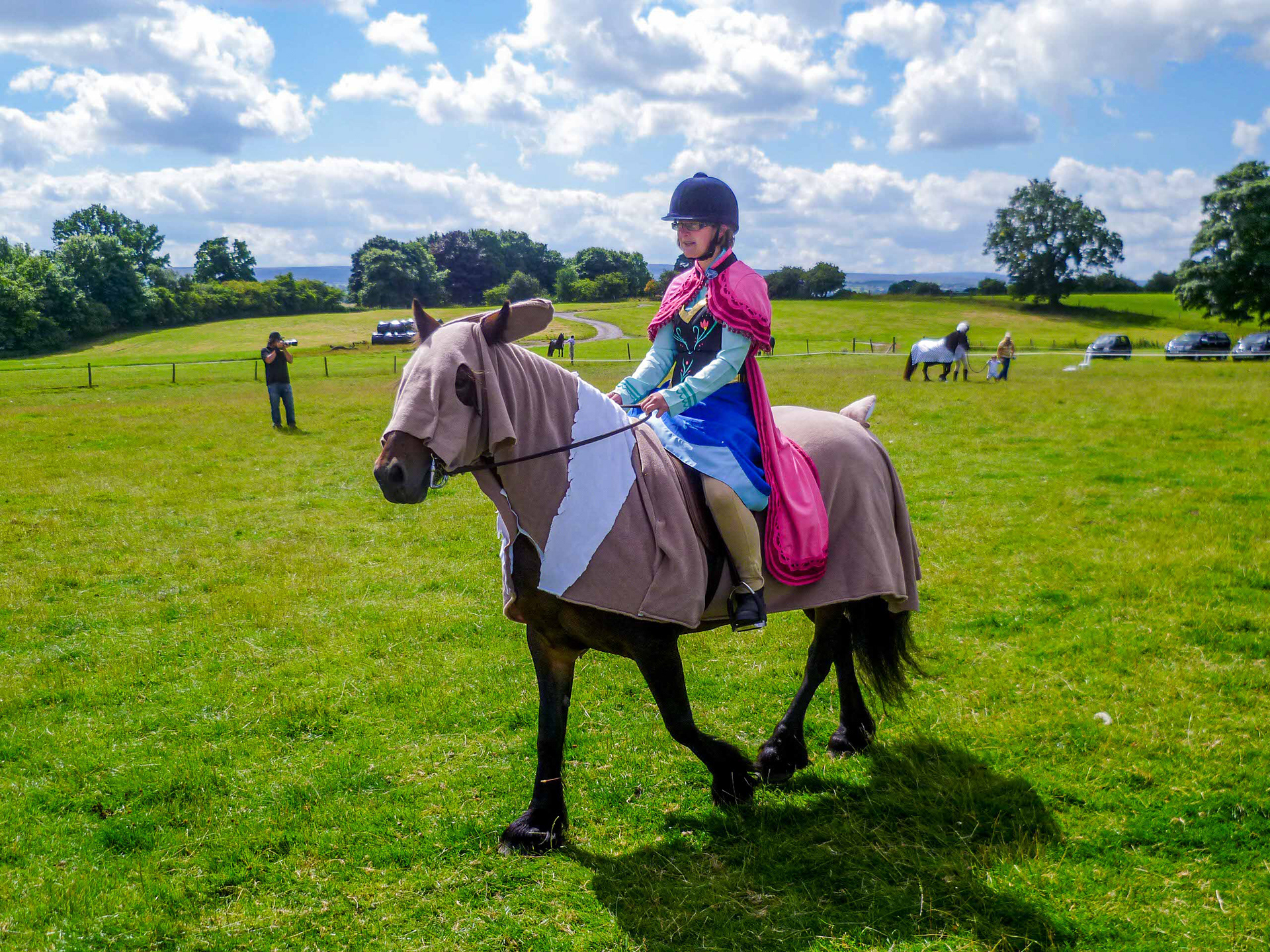 Dales Pony in a fancy dress.