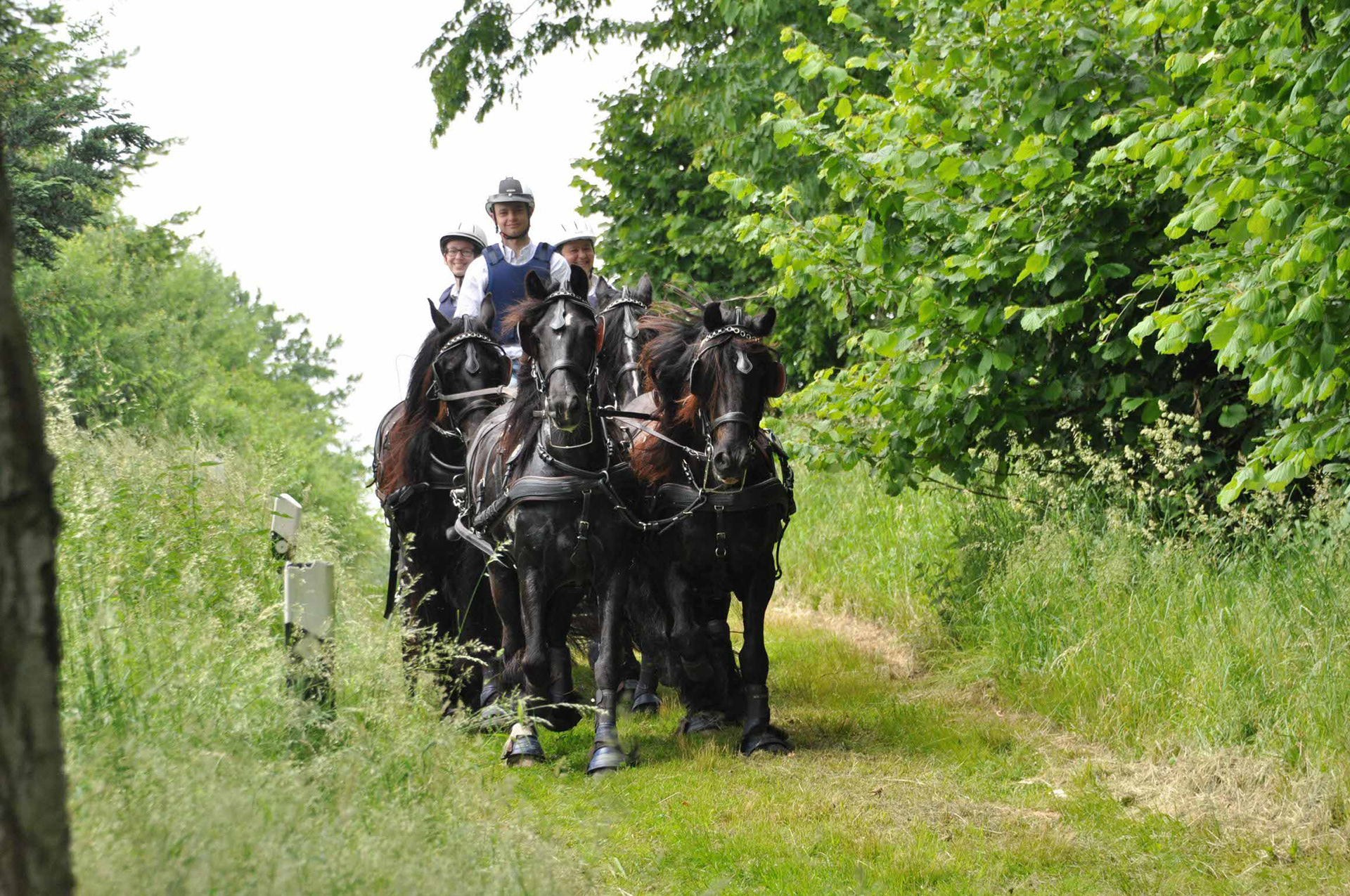 Warm-up four-in-hand