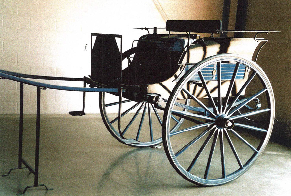 Rally Cart