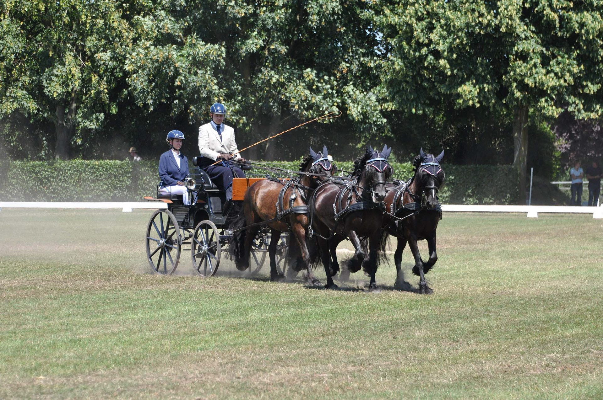 Dressage