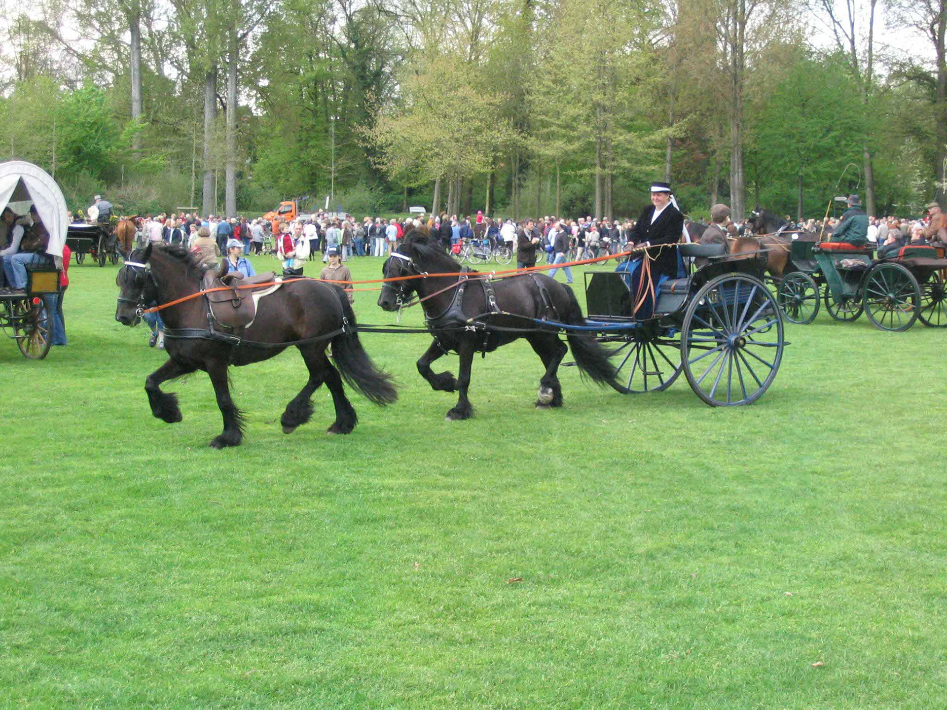 Tandem, Castle Hill John I back, Beacondale Patricia in front