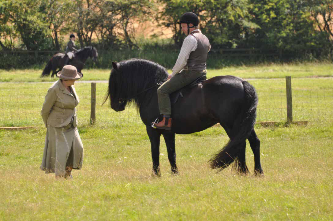 David Eccles riding on a Dales Pony while being judged.