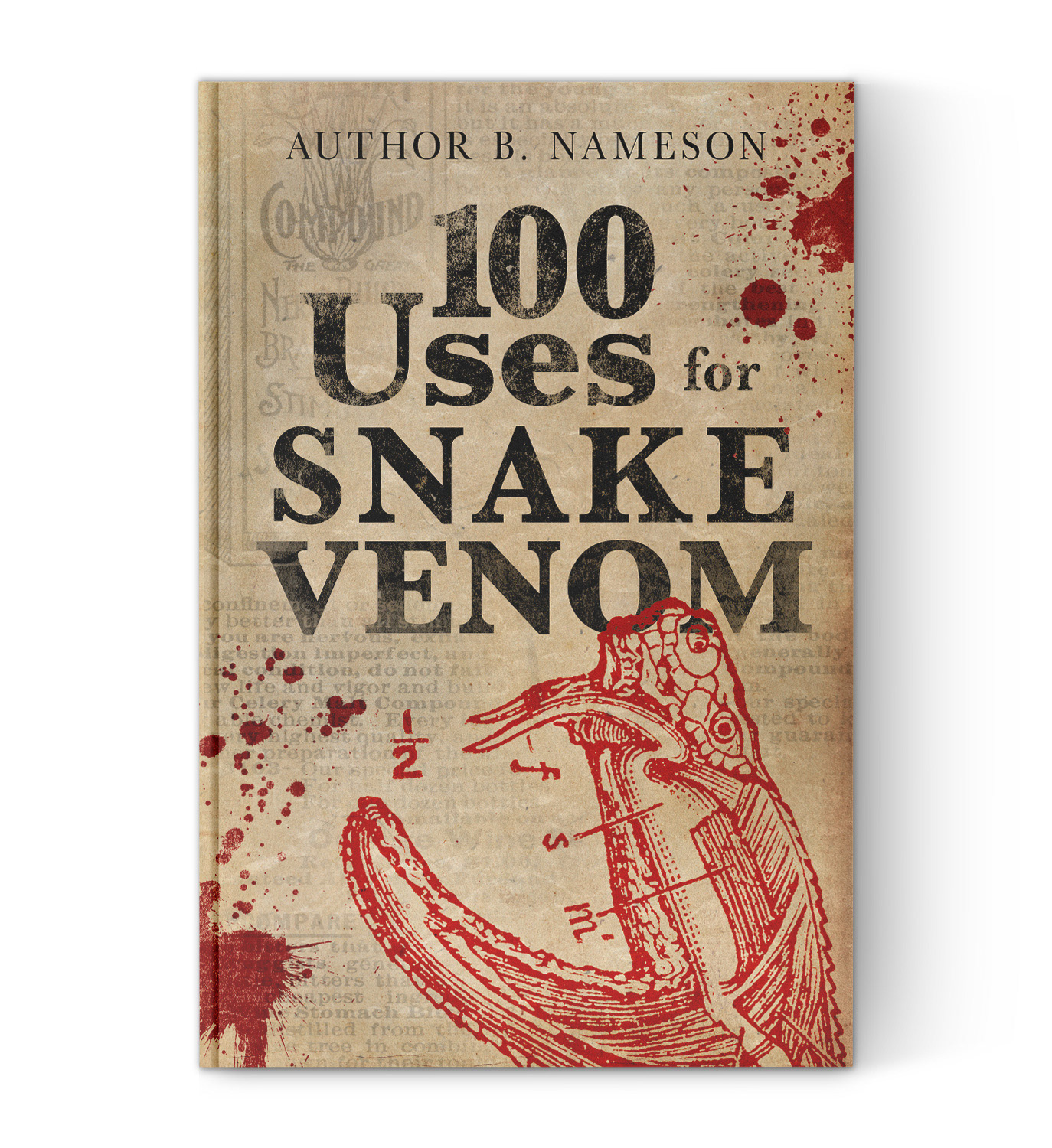 Book cover fiction historic murder mystery