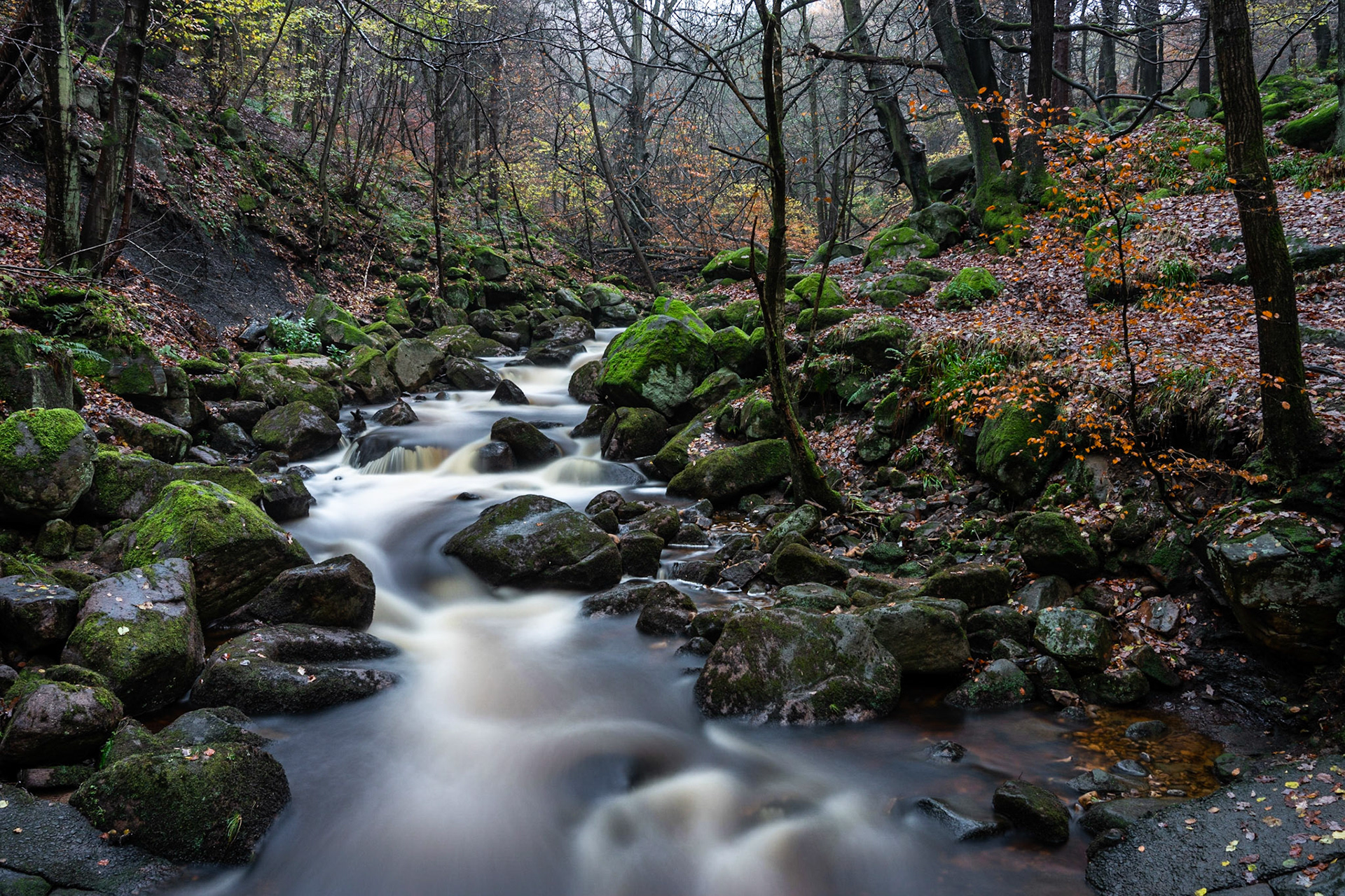 Pre Dawn at Padley Gorge