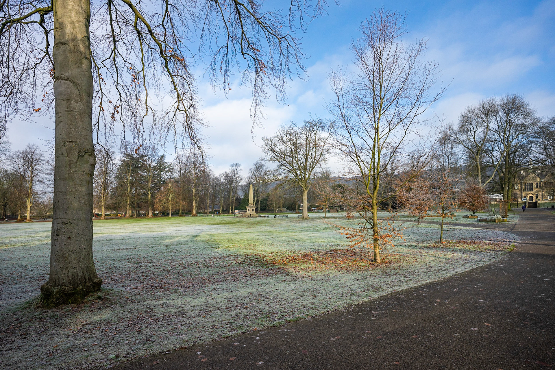 Winter Morning in the Park