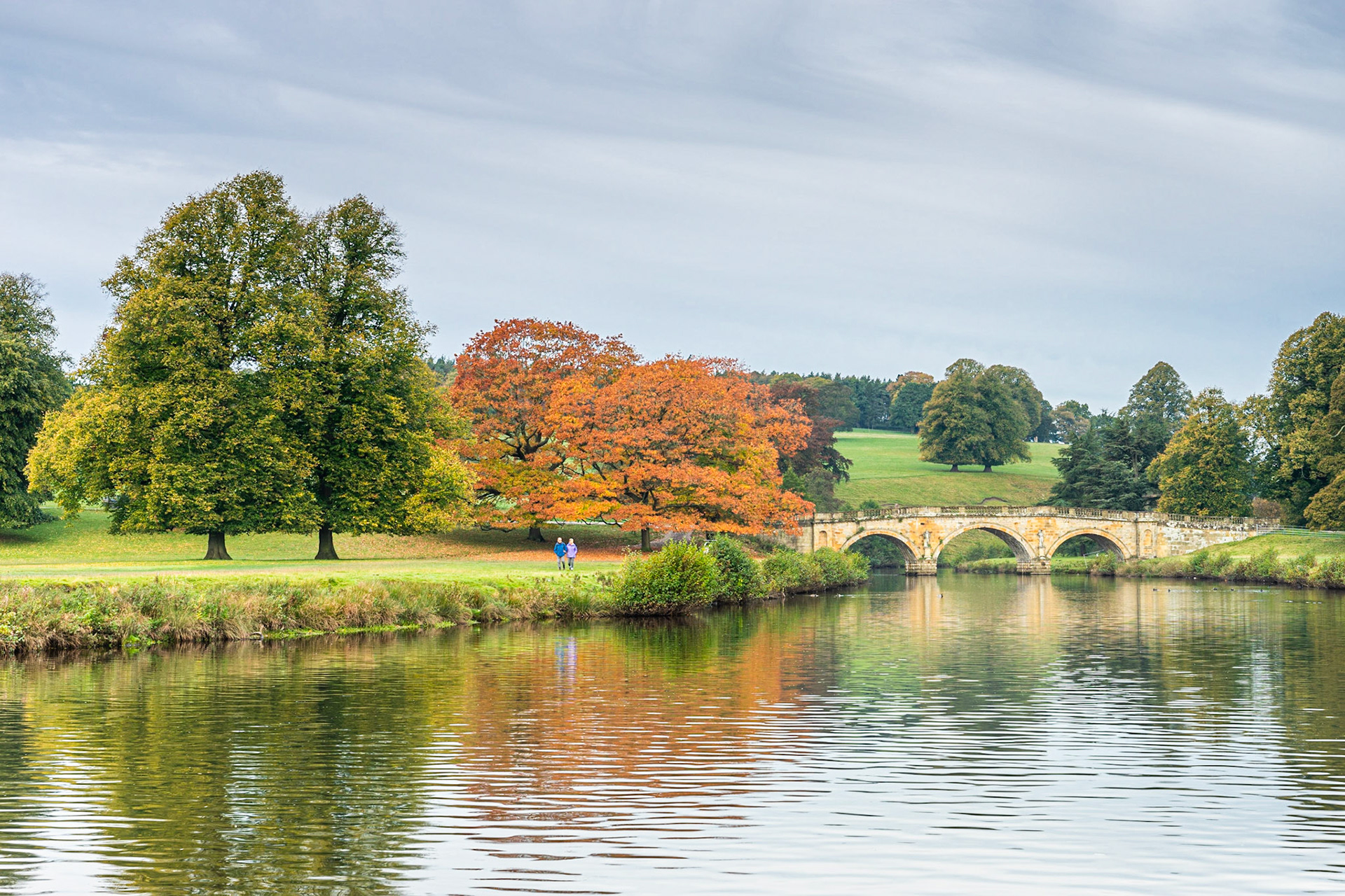 Autumn Splendor