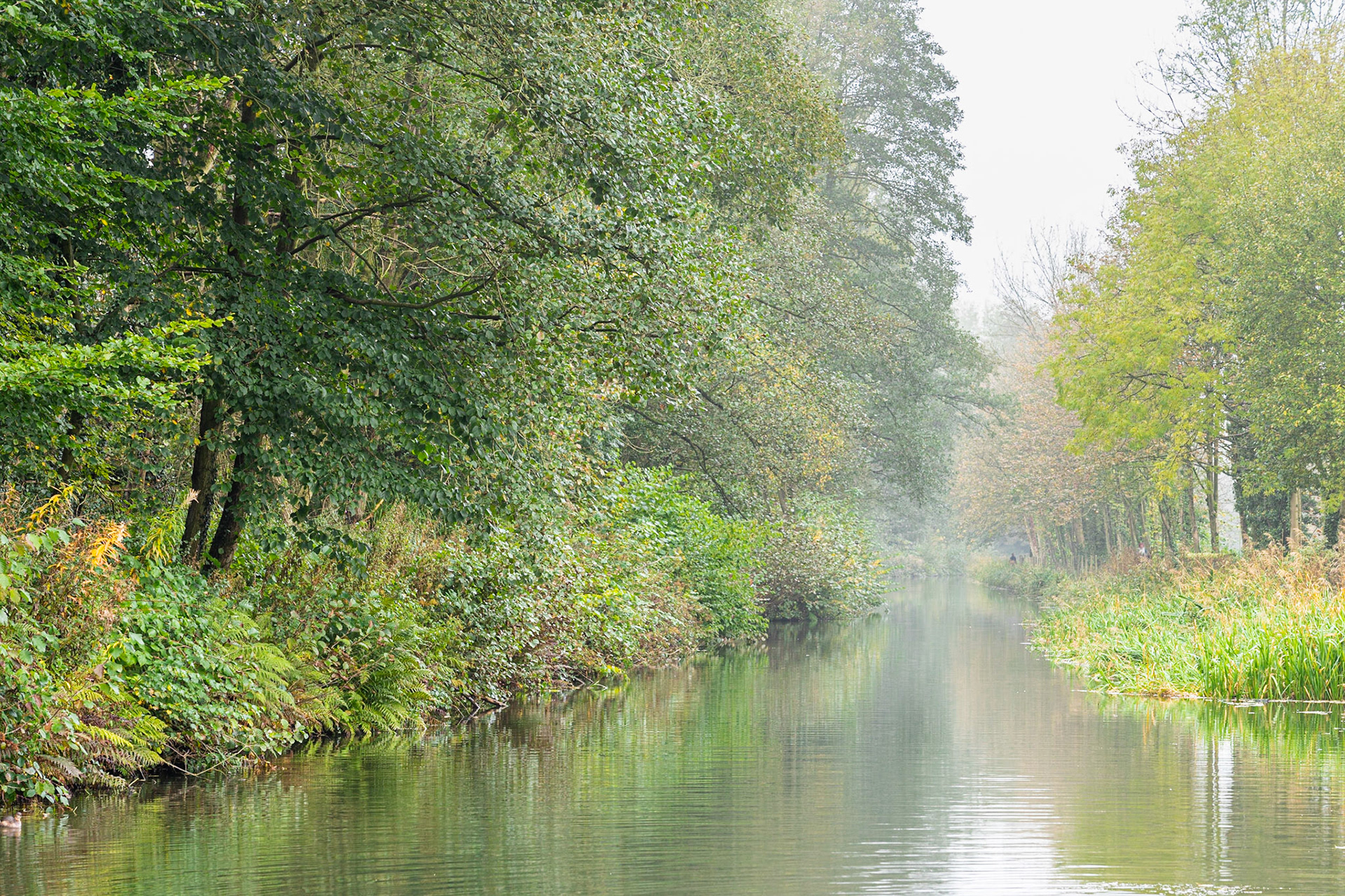 Early Morning at Cromford Canal