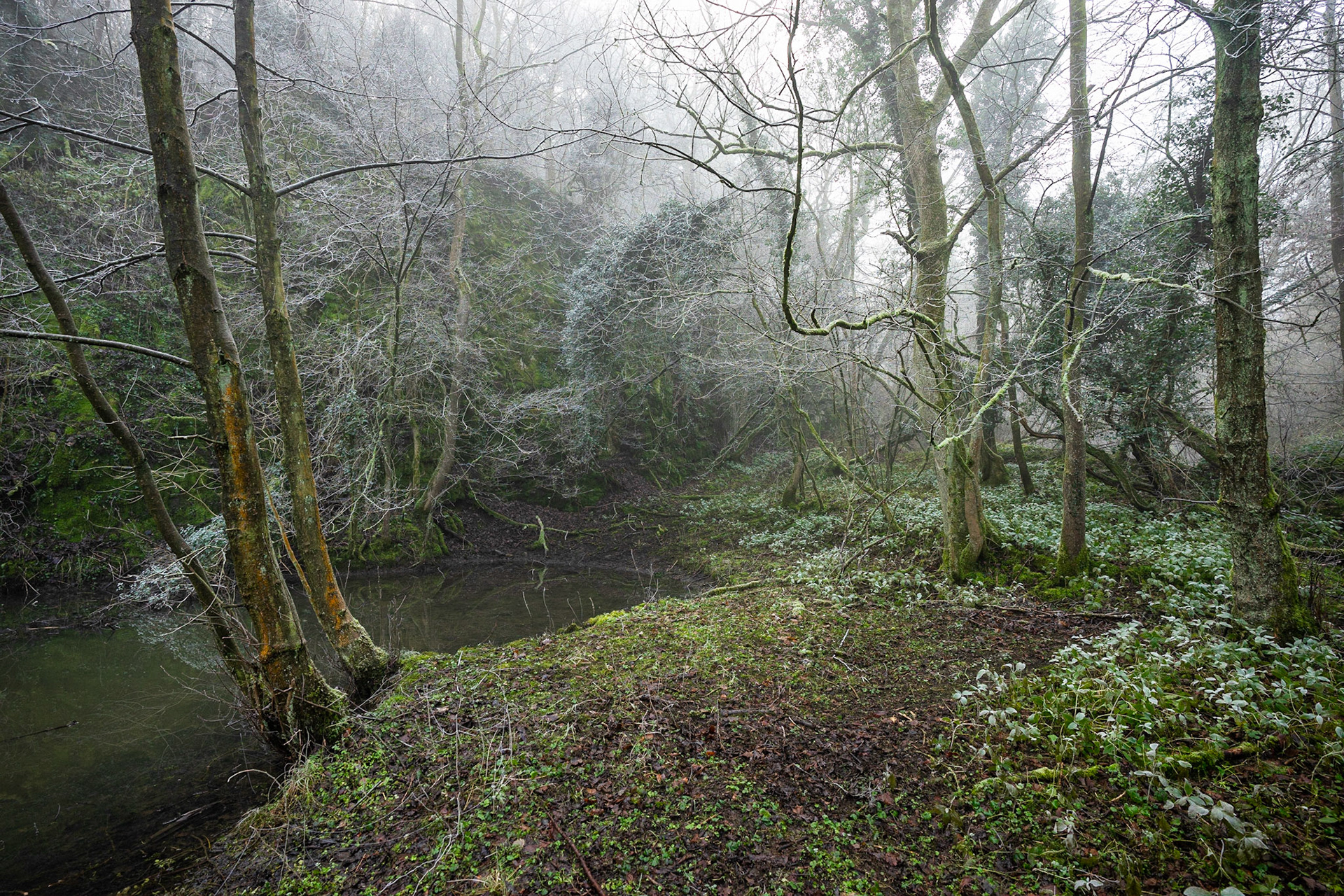 Hidden Pond