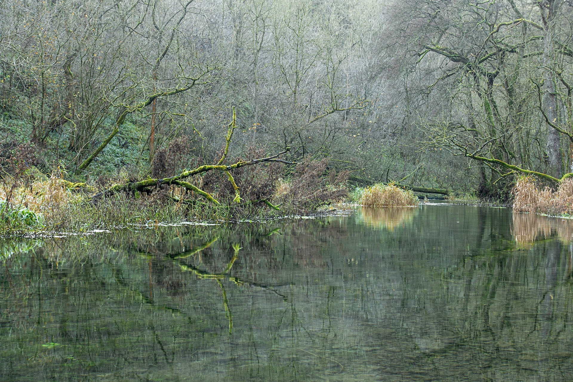 Lathkill Reflections