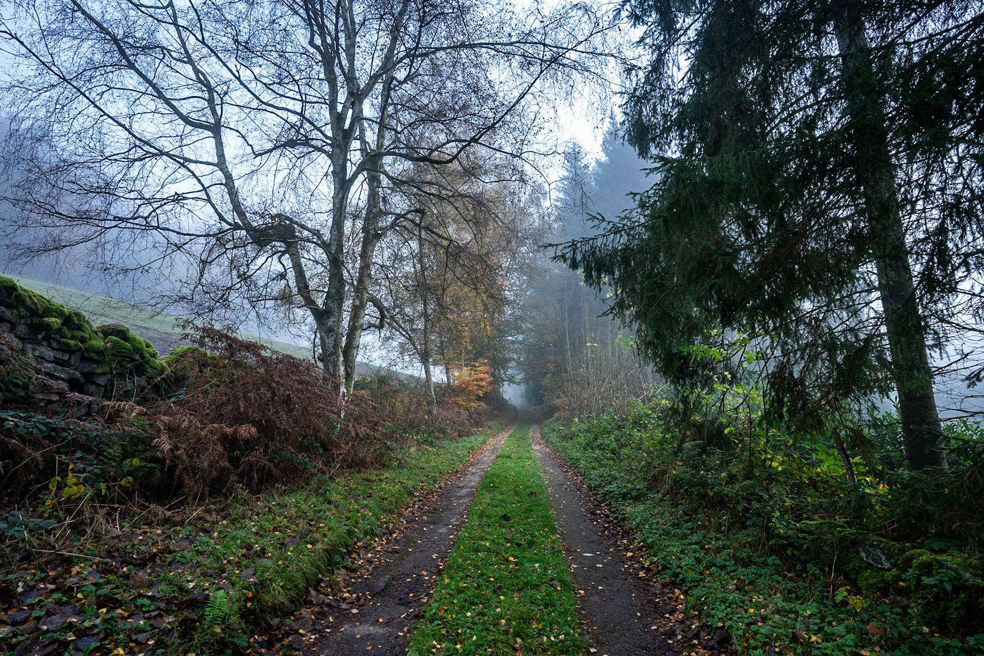The Road Ahead
