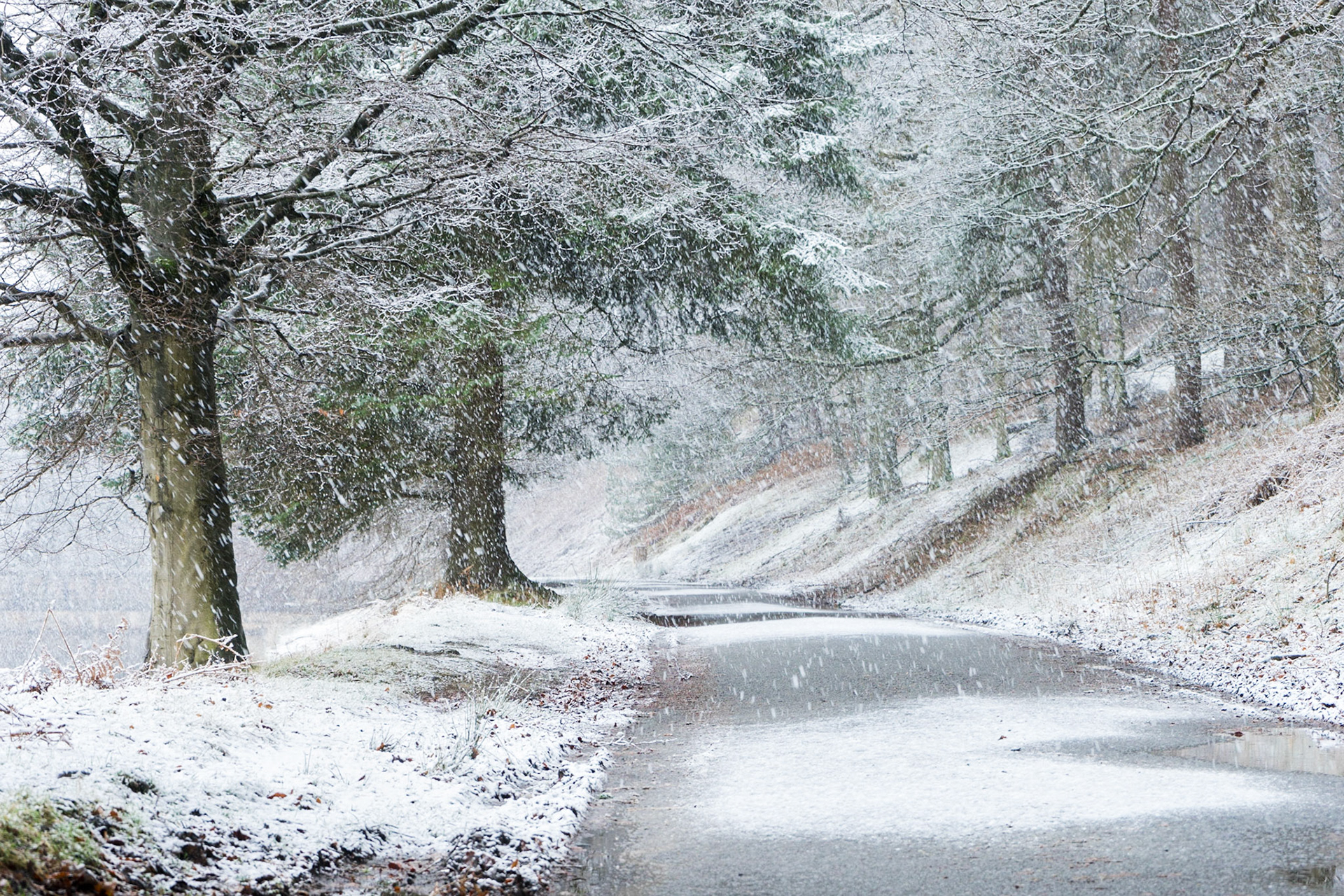 In the Bleak Midwinter