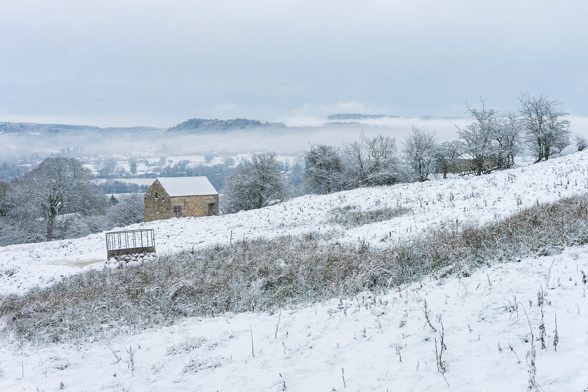 Mist and Snow