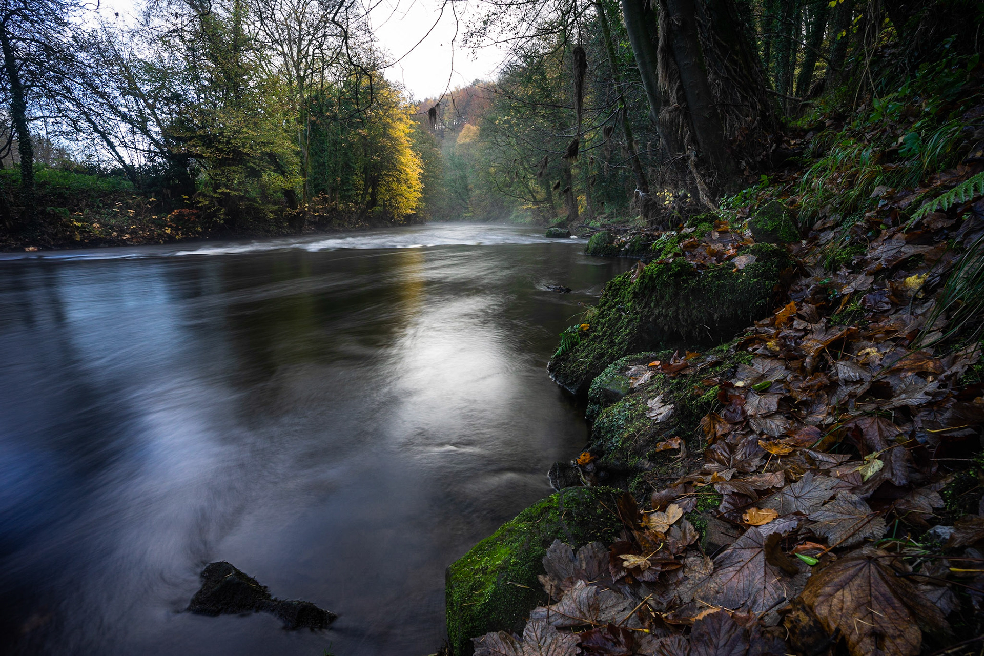 River Derwent in Autumn Colours