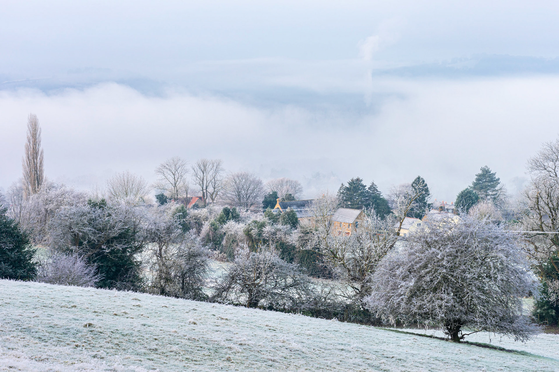 Two Dales