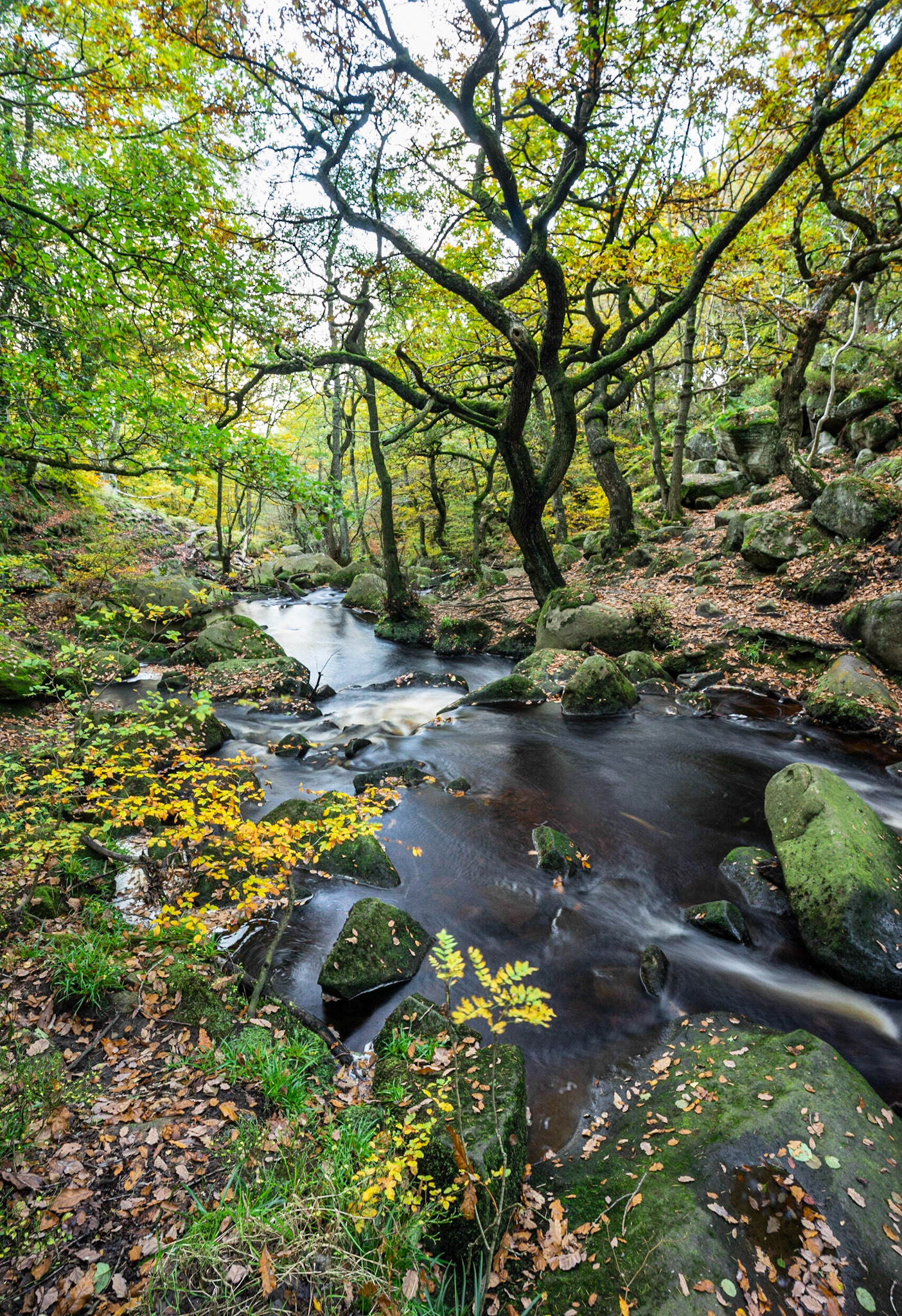 Padley Autumn