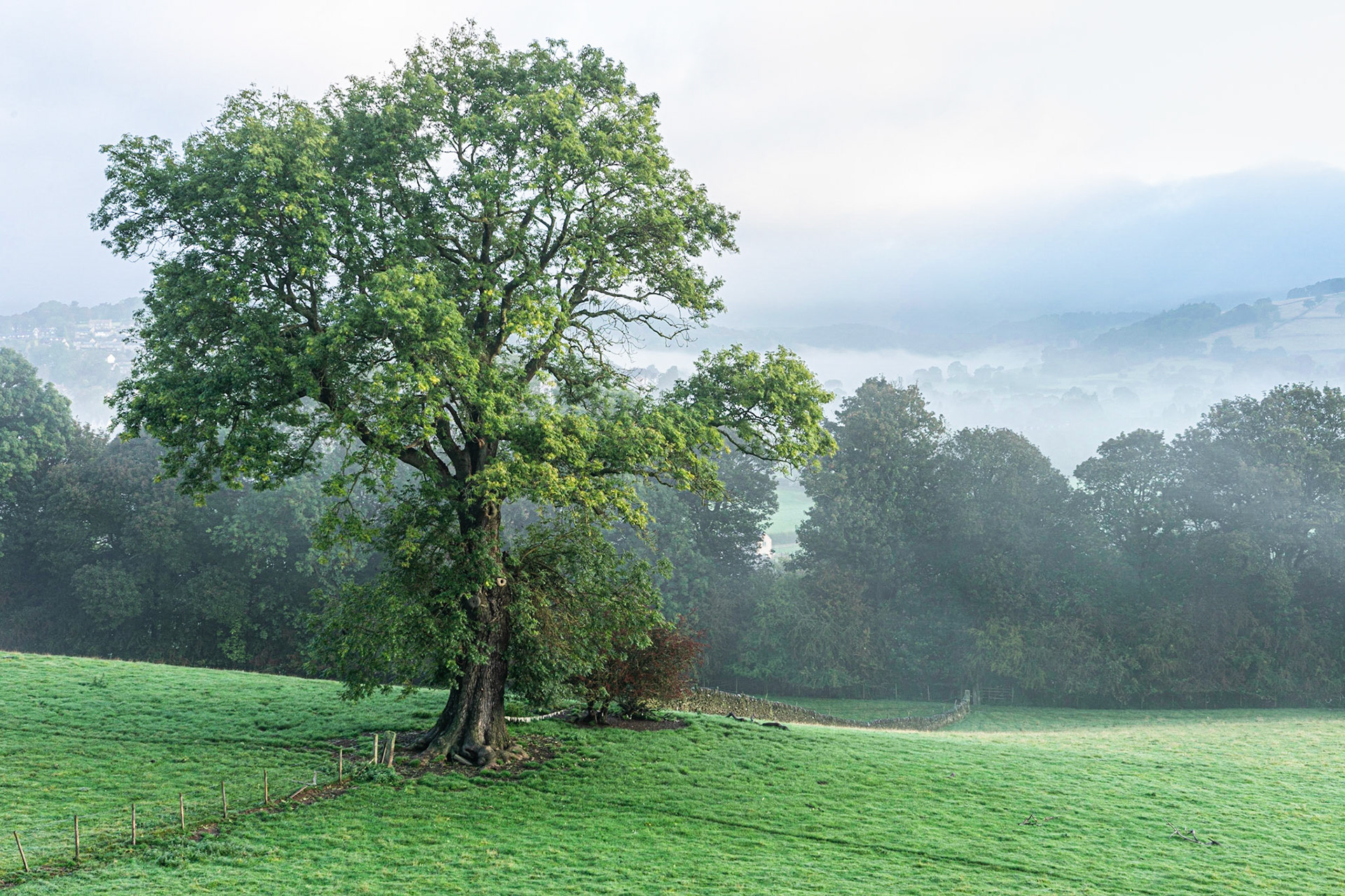 High Above Hathersage