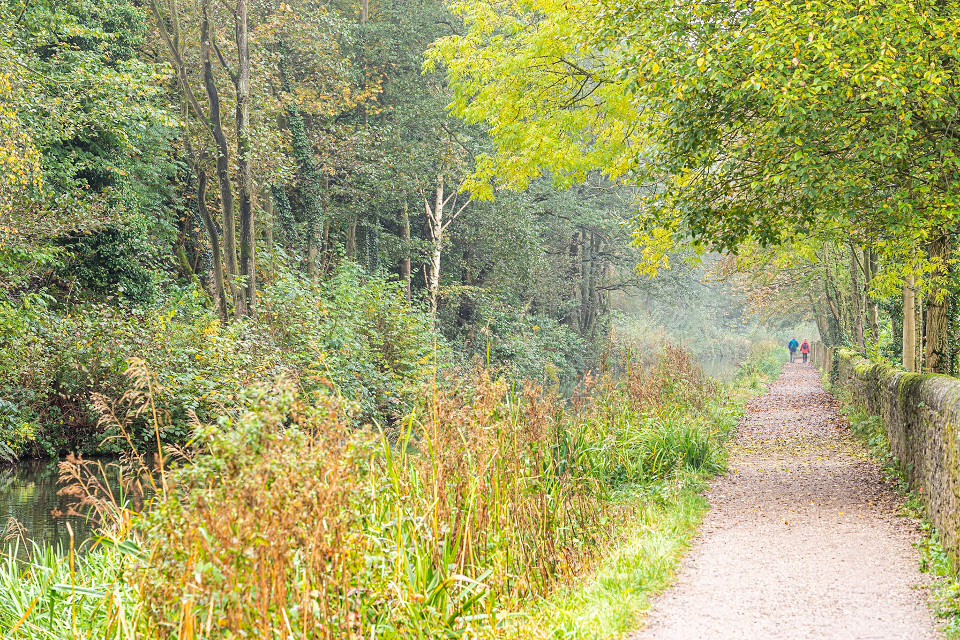 Towpath Walk