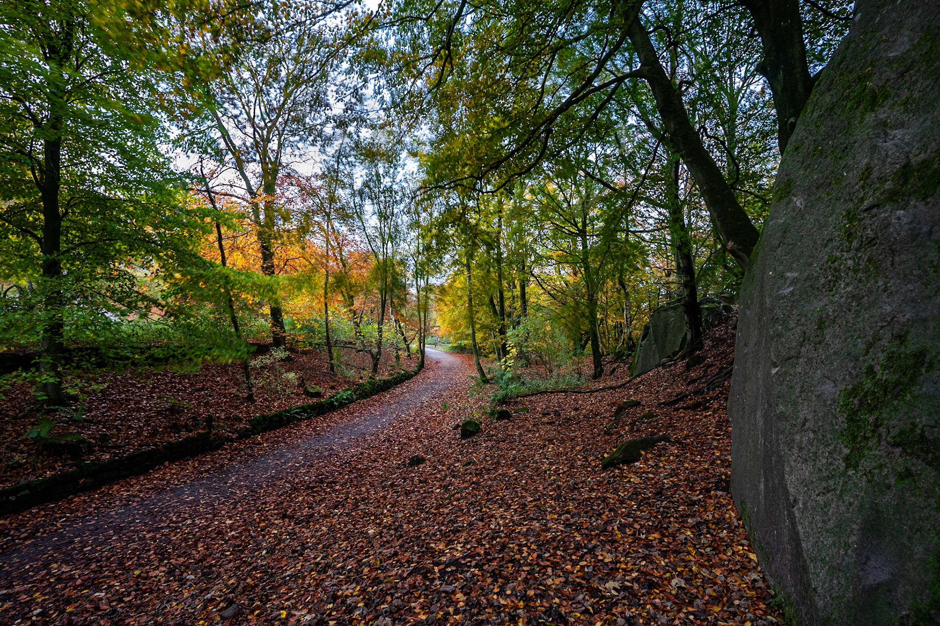 The Trail