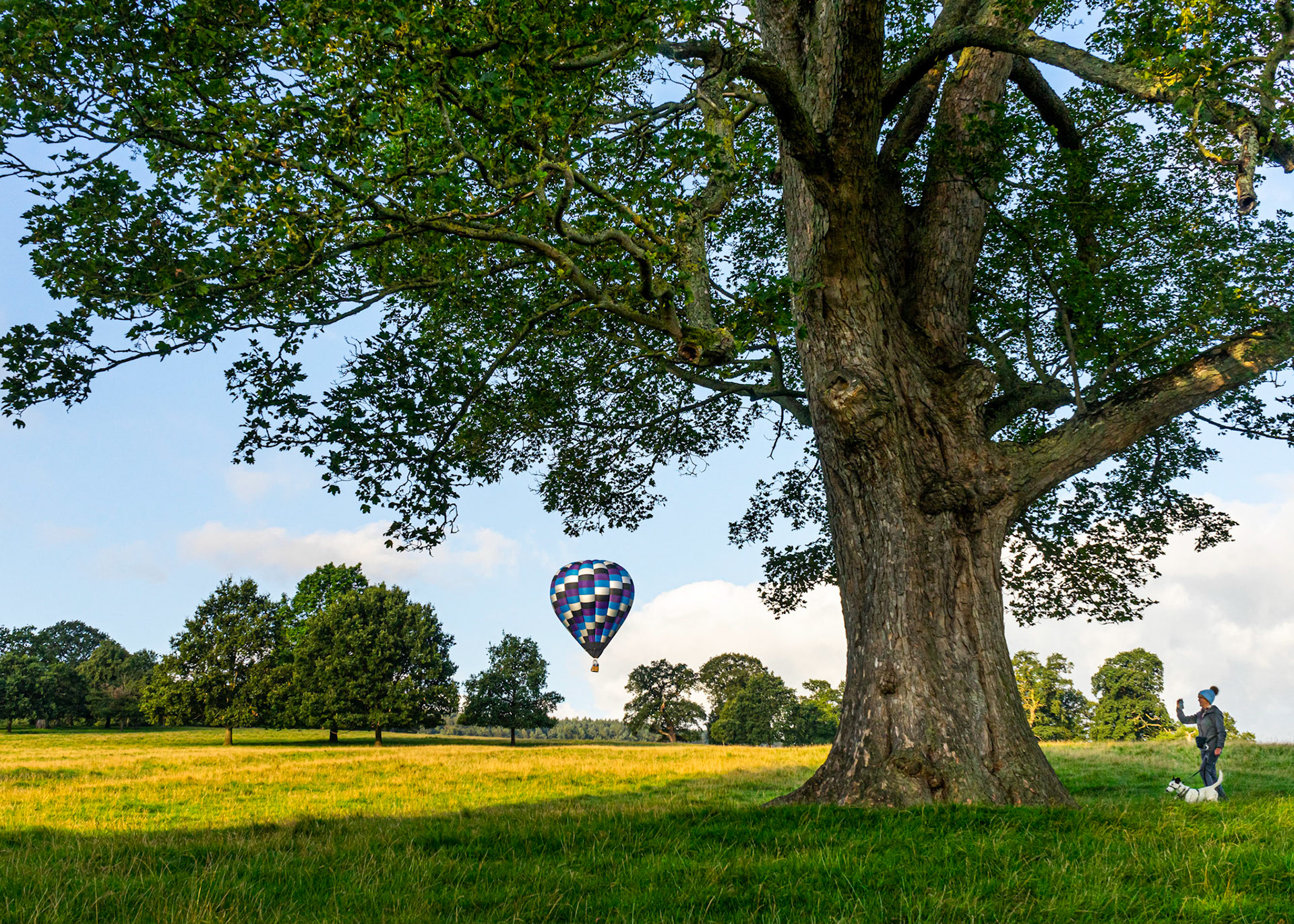 Hot Air Balloon