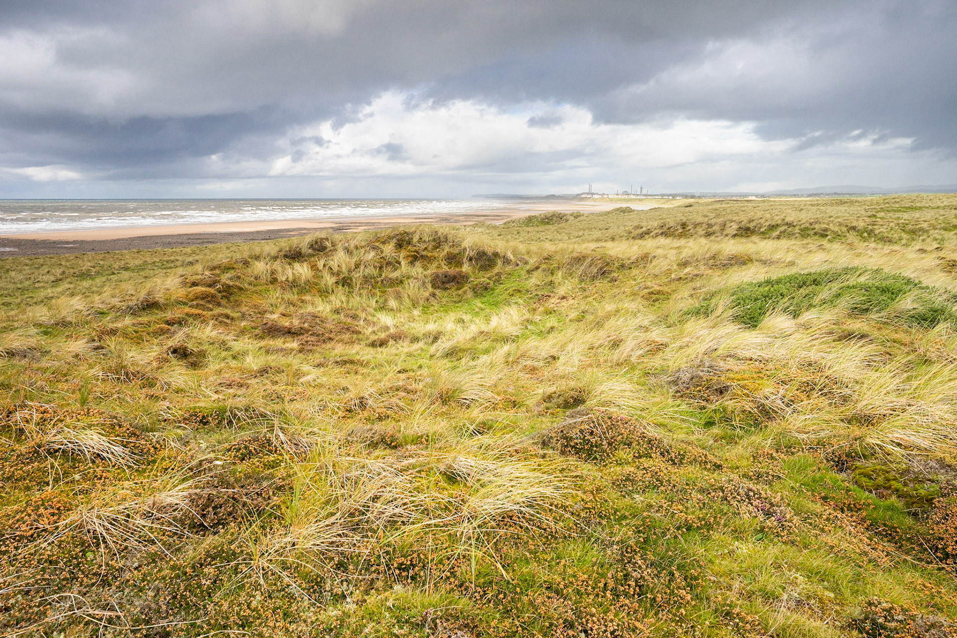 Drigg Sand Dunes