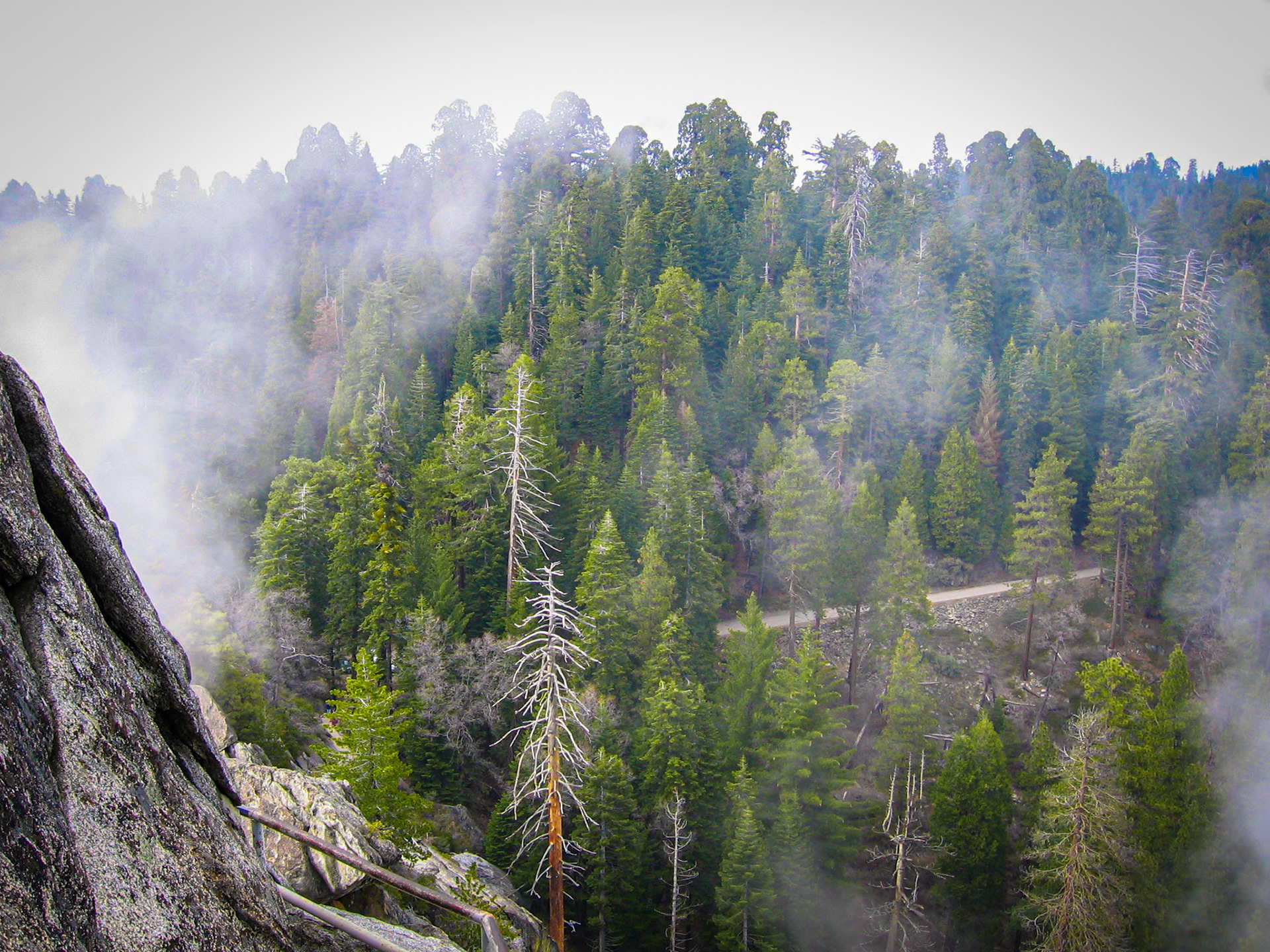 Sequoia National Park