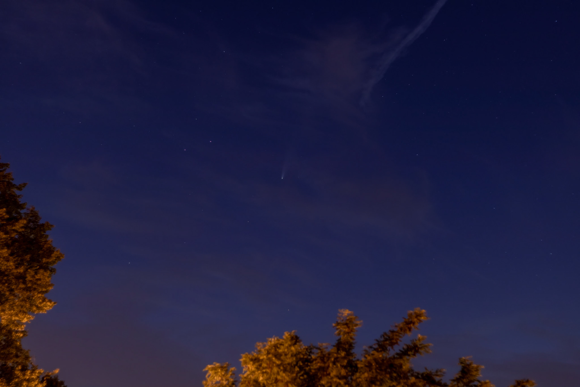 Comet Neowise, July 17, 2020, London, UK (Canon 80D, EF 50mm, 2.5s at f/1.8, ISO 100)