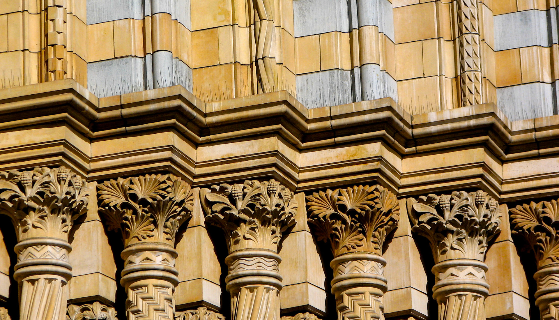 Natural History Museum detail