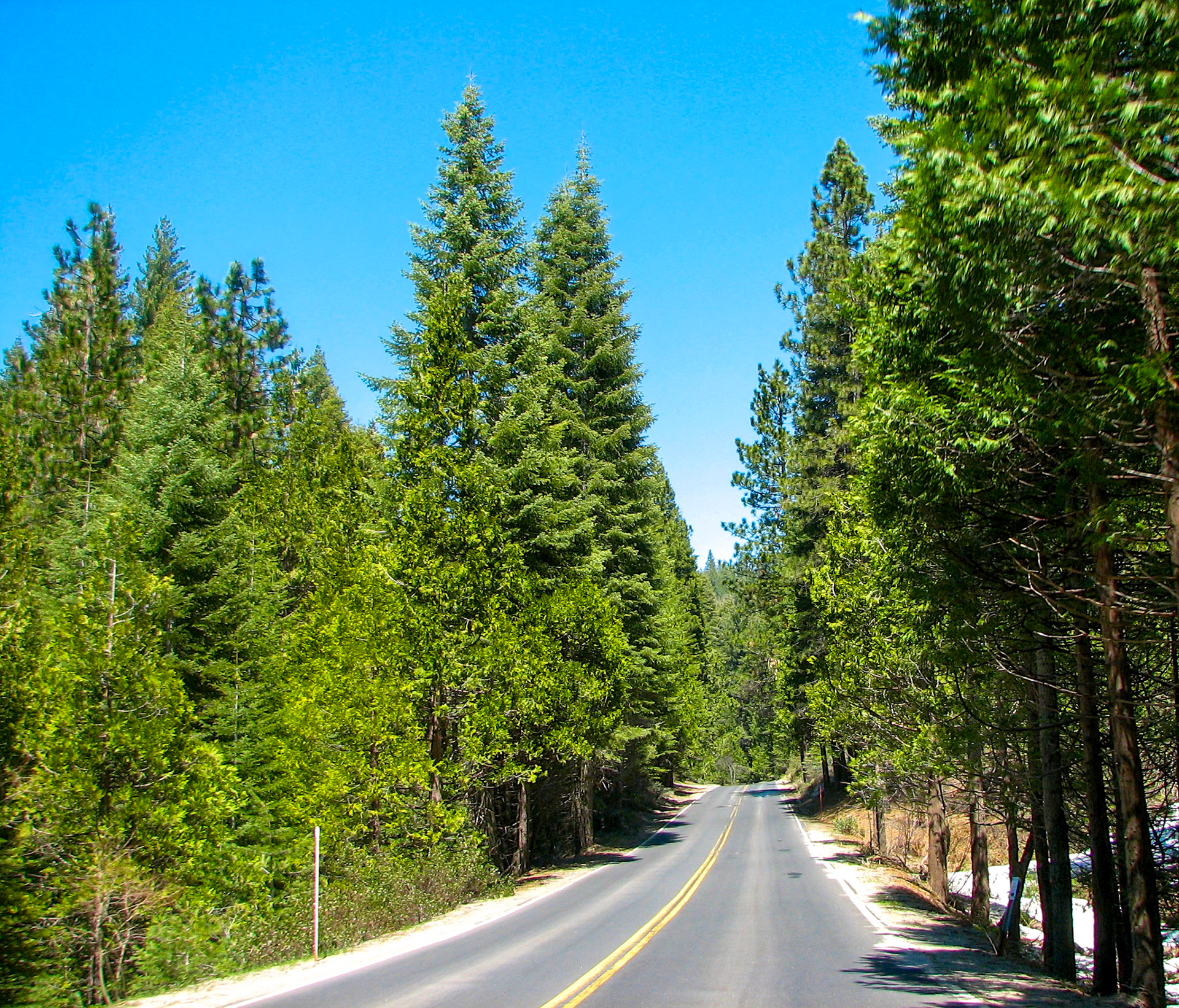 The Road to Yosemite