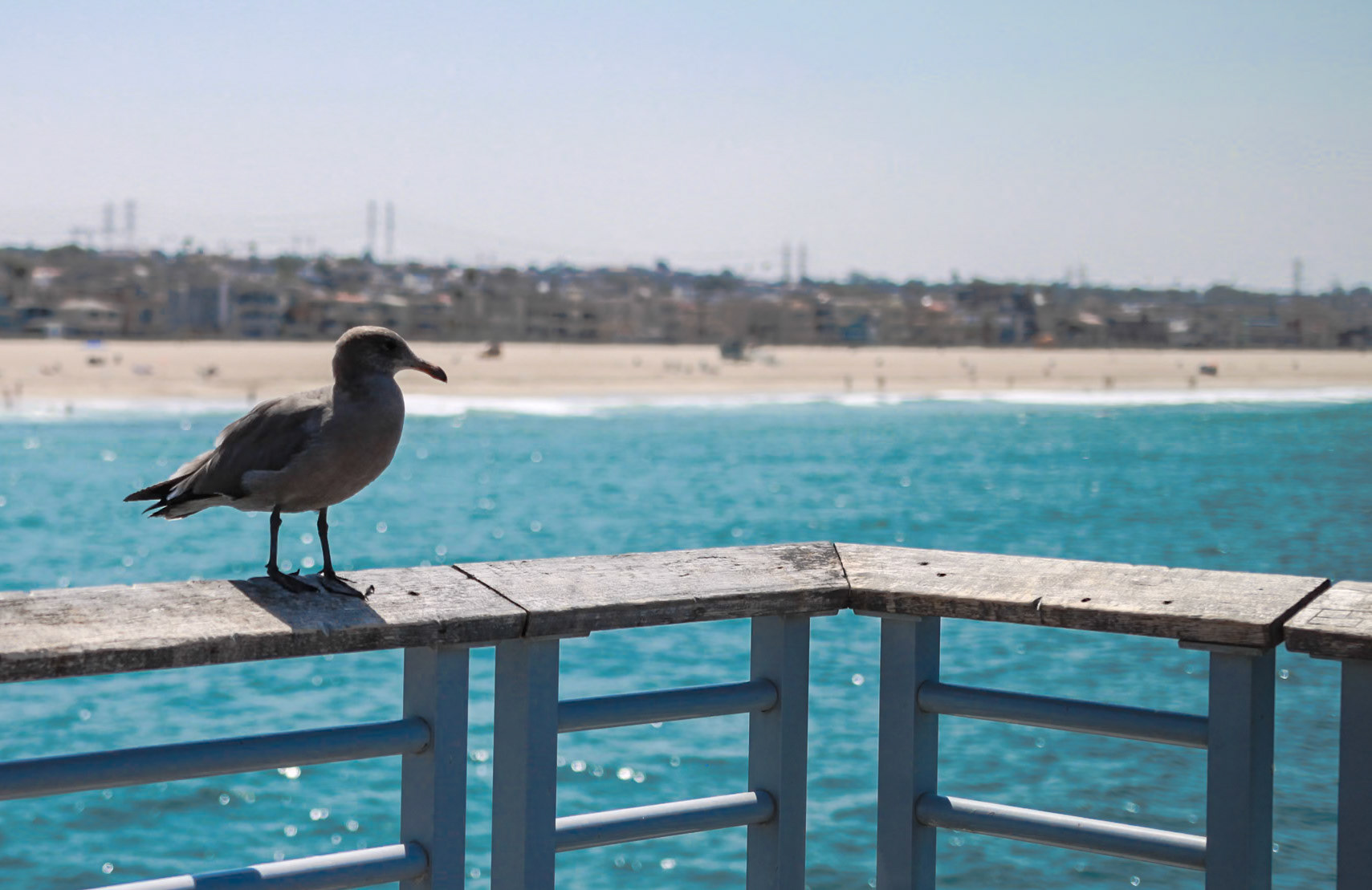 Bird view