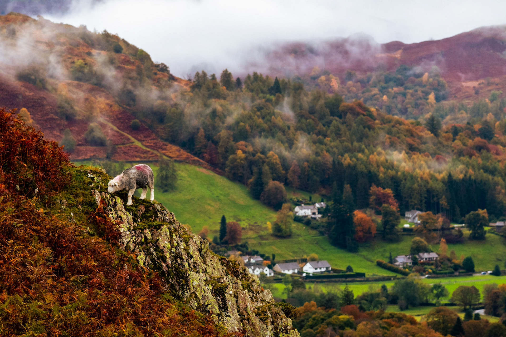 Hiking in Lake District