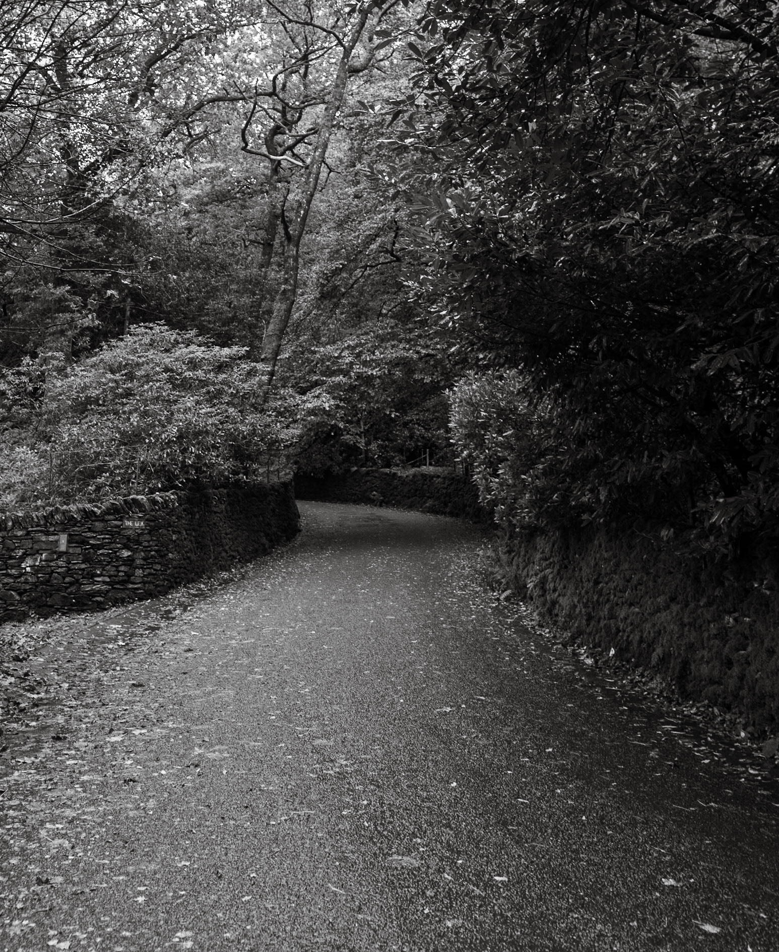 The road to get lost