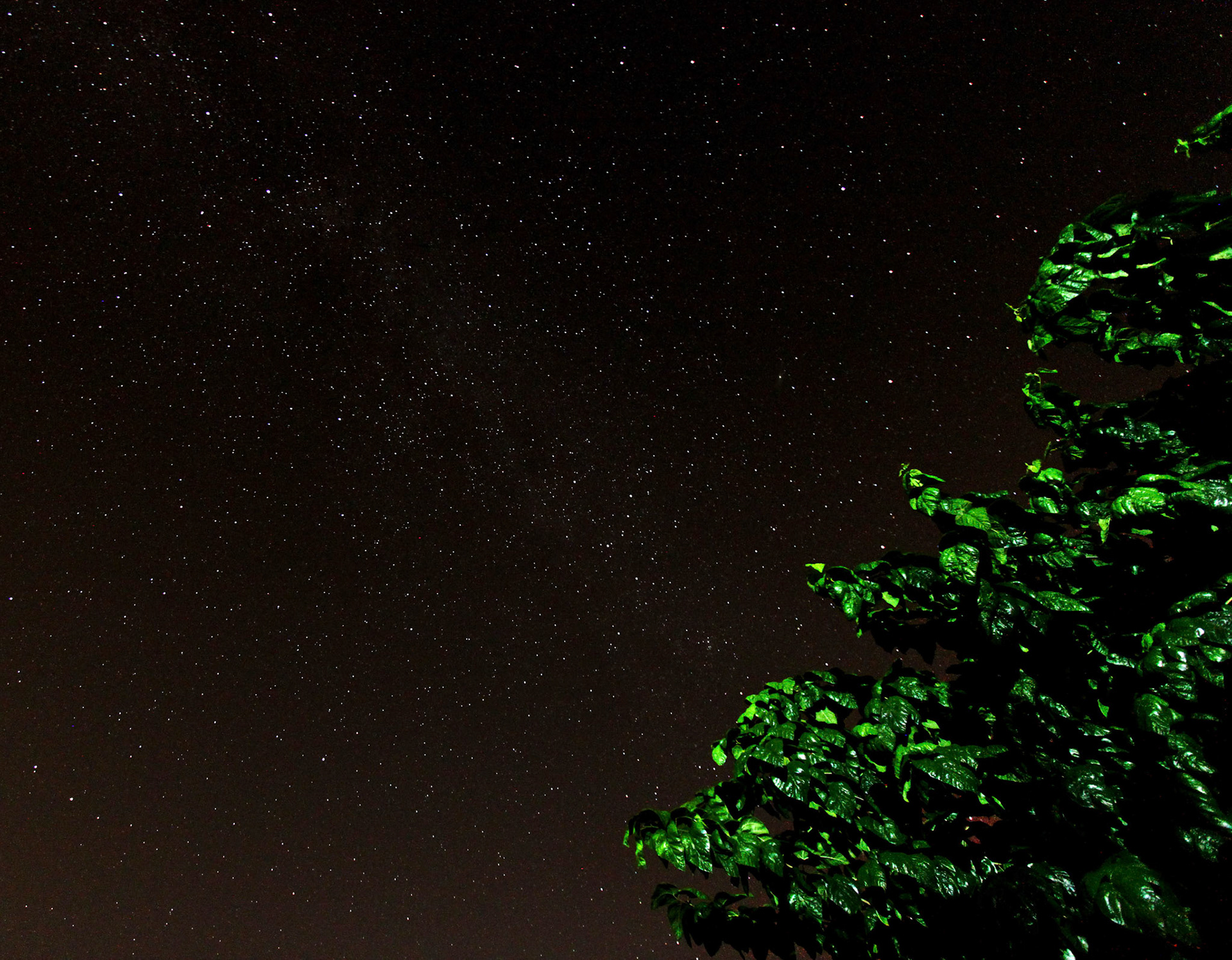 Lamia, Greece (Canon 500D, EF-S 10-22mm @10mm, 30s at f/3.5, ISO1600)