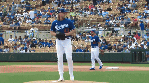 lad vs cws