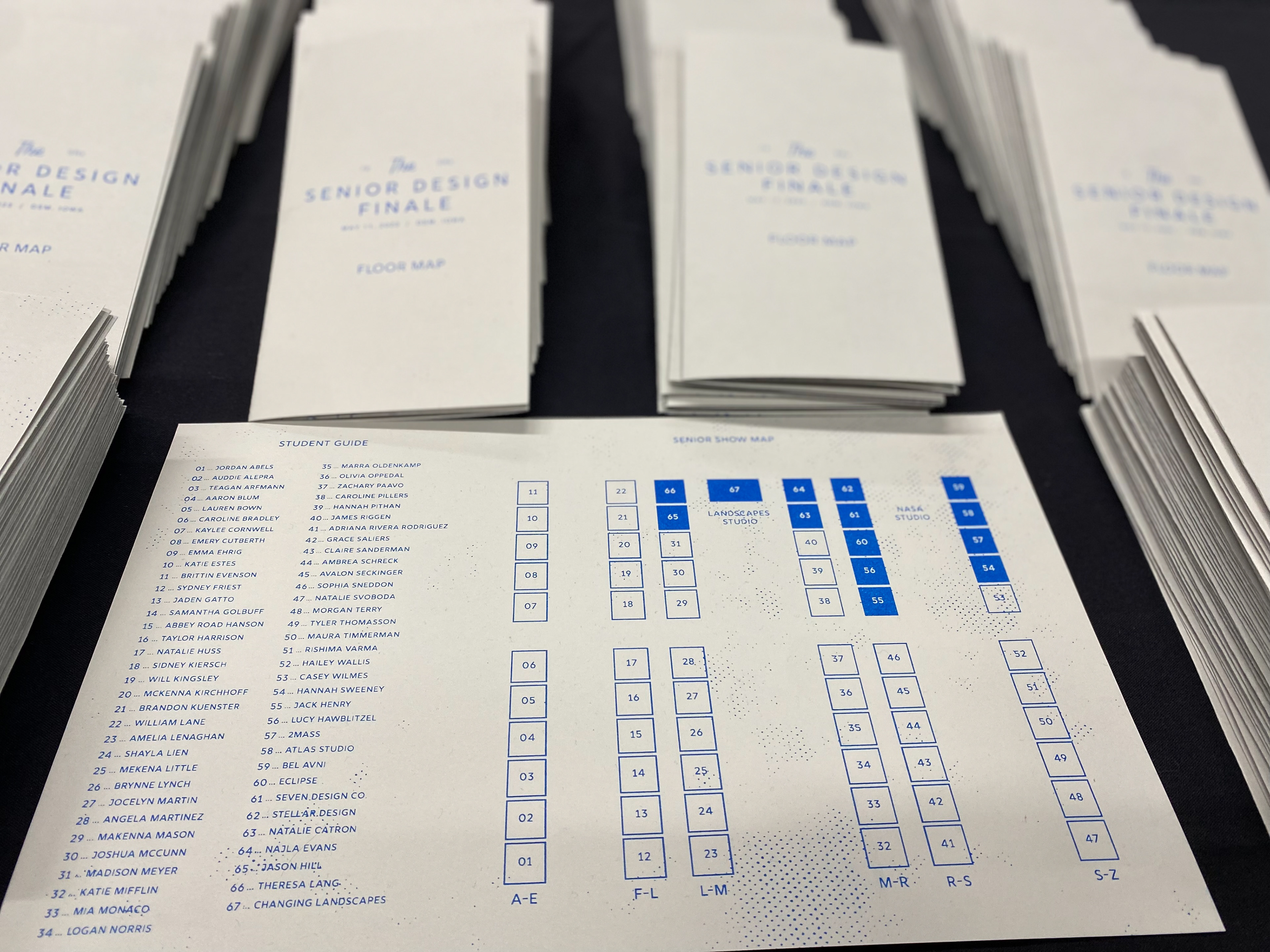 Riso Print Map Pamphlet