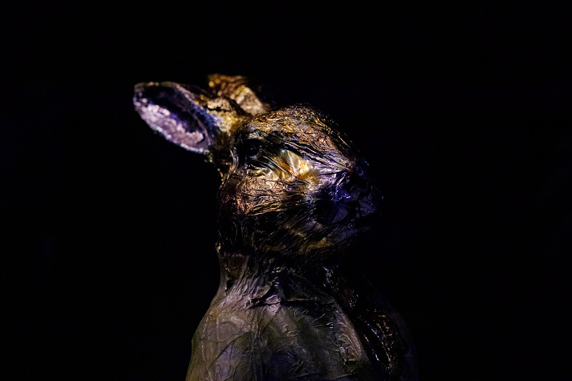 Easter Bunny at Night, Cambridge